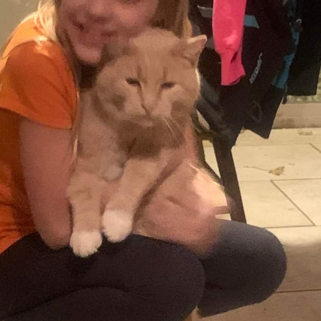 ** FOUND CAT in Caledonia **

If someone is missing this cat in Caledonia, please contact Kristyna at 507-202-1603 or email kristynajensen@gmail.com. He is VERY friendly, especially with the kids of the house.