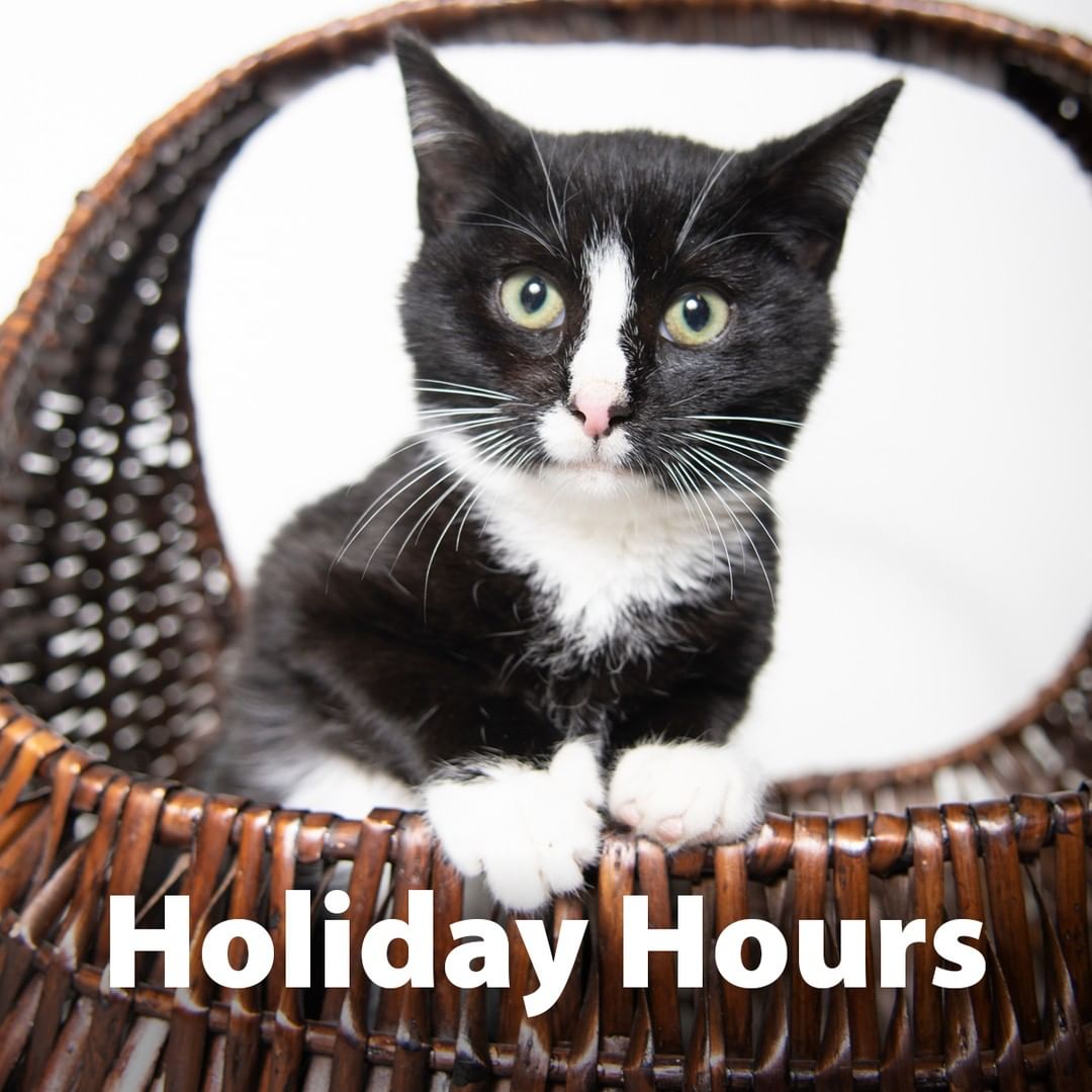 In observance of Thanksgiving, the Animal Welfare League of Alexandria will be closed on Thursday, November 25, and will re-open for appointments on Friday.
If you have a domestic or wild animal concern while we are closed, please contact our Animal Services team by calling the Police Non-Emergency line at 703.746.4444. ⁠

<a target='_blank' href='https://www.instagram.com/explore/tags/alexanimals/'>#alexanimals</a> <a target='_blank' href='https://www.instagram.com/explore/tags/alexandriava/'>#alexandriava</a>