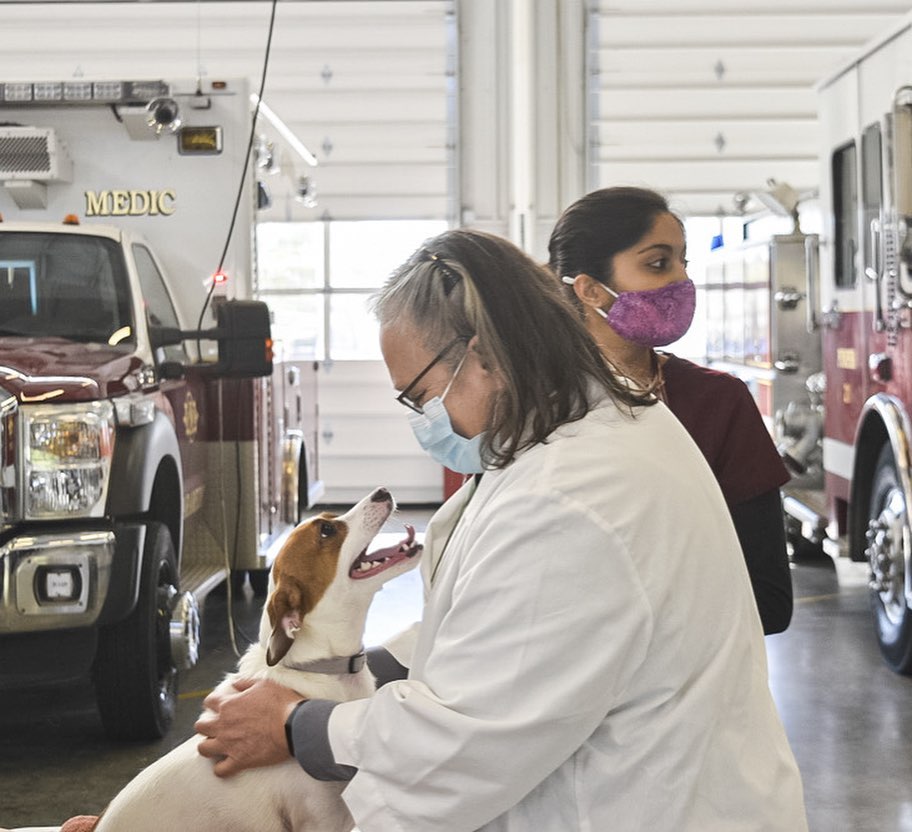 CHANGING LIVES: The ARL not only helps pets once they arrive at the ARL, we do a lot of work to help keep pets out of the shelter and in the homes with the people who love them. We recently offered two vaccine and wellness clinics that provided care for a total of 62 dogs and 50 cats in the Des Moines metro!

The clinic for cats, held at the Southridge Petco, and the clinic for dogs, held at the Dean Avenue Fire Station, both offered vaccinations and microchips, as well as physical exams, fecal tests and more. Check out some pictures from the clinics, including some heartwarming photos of the pets and their families!

Thank you to the Petco Love Foundation for the grant that provided vaccines for these clinics. And thanks to our veterinary partners and the Shelter Medicine Club at Iowa State University for joining with us to provide these services.

<a target='_blank' href='https://www.instagram.com/explore/tags/petcolove/'>#petcolove</a> <a target='_blank' href='https://www.instagram.com/explore/tags/thankstomaddie/'>#thankstomaddie</a>