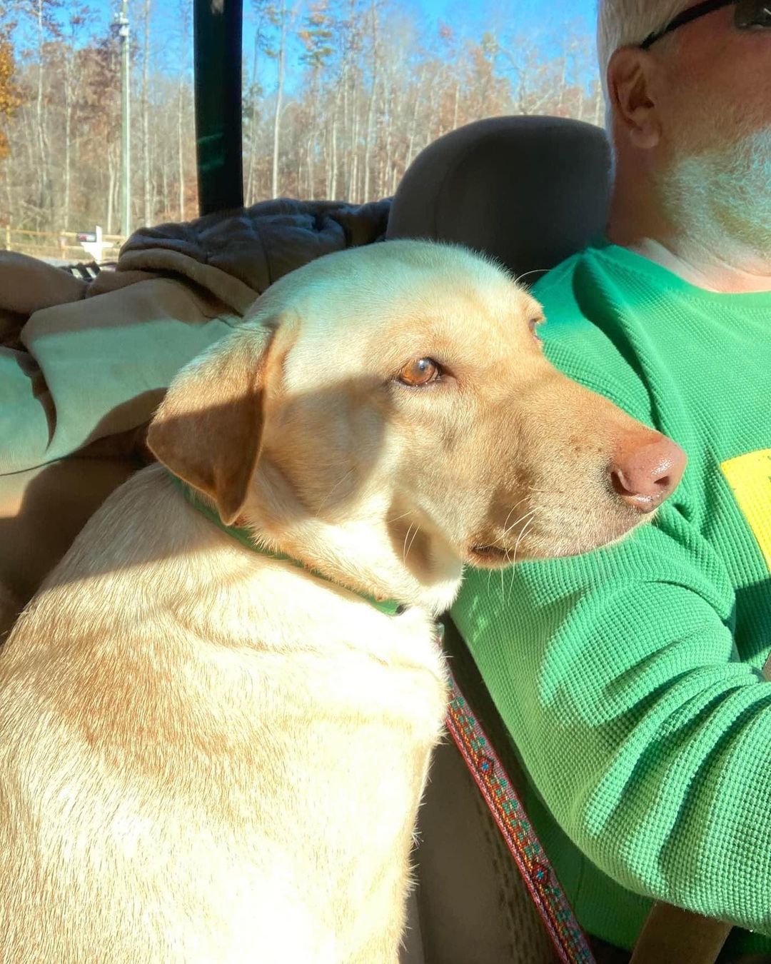 FREEDOM RIDES for these two! Thanks to this incredible community of fosters and volunteers we were able to pull Noah and (swipe) this sweet tripod girl.
1. A bittersweet freedom ride for Noah- he was adopted from us as a puppy, and returned to us via a trip to Granville County Shelter. We're heart-broken his people dumped in in a crowded shelter before the holiday, but we're so grateful we were able to save him and he will return to his original foster mom.
2. This poor girl was found wandering and ended up at a local shelter. While we don't know much about her, she's a tripod, so we know she hasn't had the best hand dealt in life. We're so glad we we were able to pull her and help her turn her luck around!