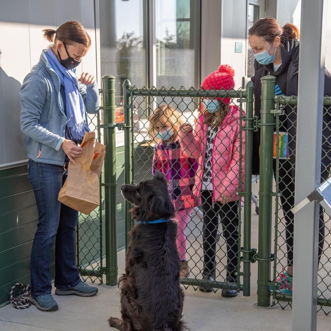 We had the best time during our Day of Service today! Our helpers set up fun activities for the animals. We made puzzle toys for our cats and rabbits and set up scavenger hunts for the dogs! 

Thank you to everyone who attended and made the day super special for the animals at the shelter! 

Happy Thanksgiving! 
<a target='_blank' href='https://www.instagram.com/explore/tags/thankful/'>#thankful</a> <a target='_blank' href='https://www.instagram.com/explore/tags/community/'>#community</a> <a target='_blank' href='https://www.instagram.com/explore/tags/volunteer/'>#volunteer</a> <a target='_blank' href='https://www.instagram.com/explore/tags/shelterpets/'>#shelterpets</a> <a target='_blank' href='https://www.instagram.com/explore/tags/adopt/'>#adopt</a> <a target='_blank' href='https://www.instagram.com/explore/tags/loudouncounty/'>#loudouncounty</a> <a target='_blank' href='https://www.instagram.com/explore/tags/loudounlovesanimals/'>#loudounlovesanimals</a>