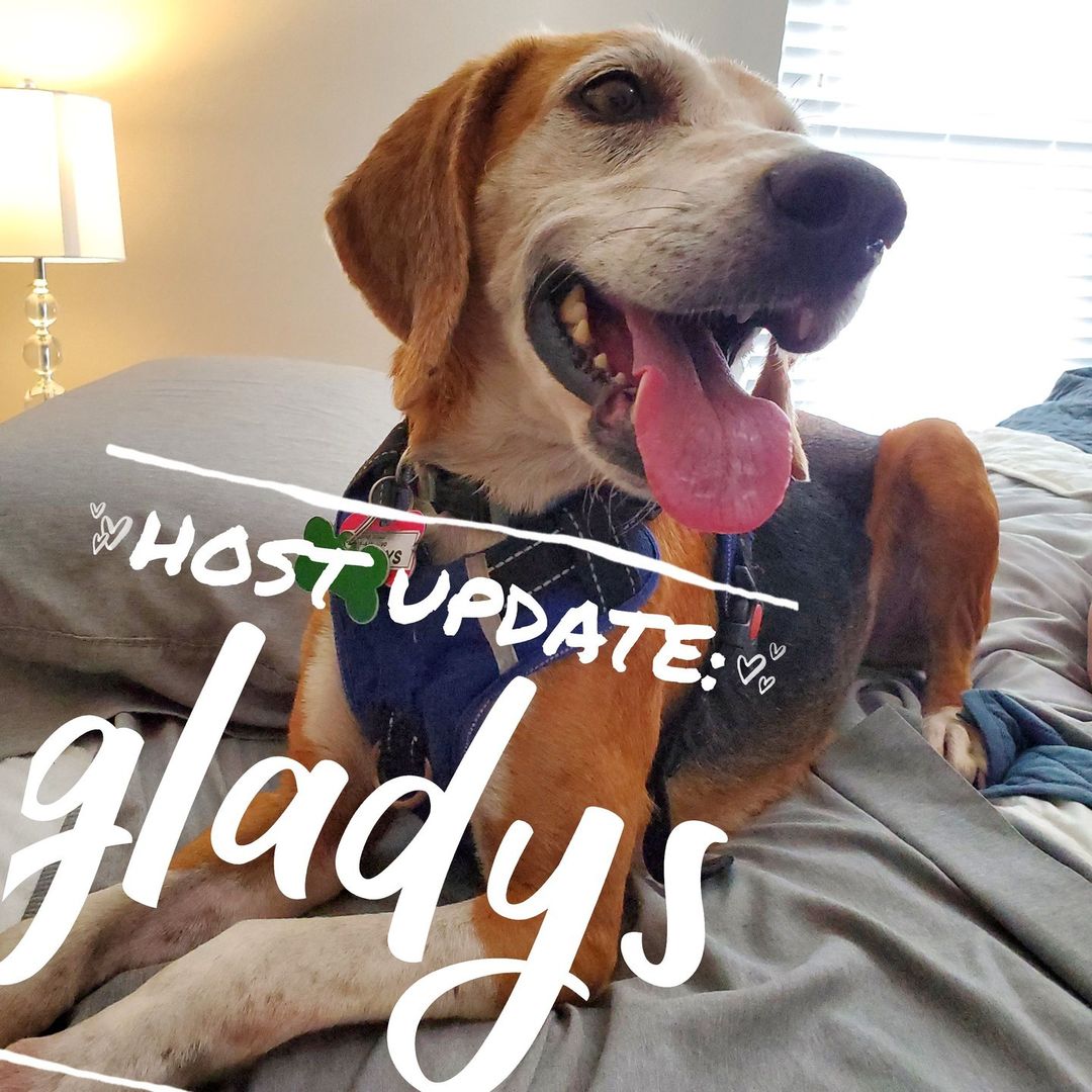 Host Update for the gorgeous gal, Gladys:

