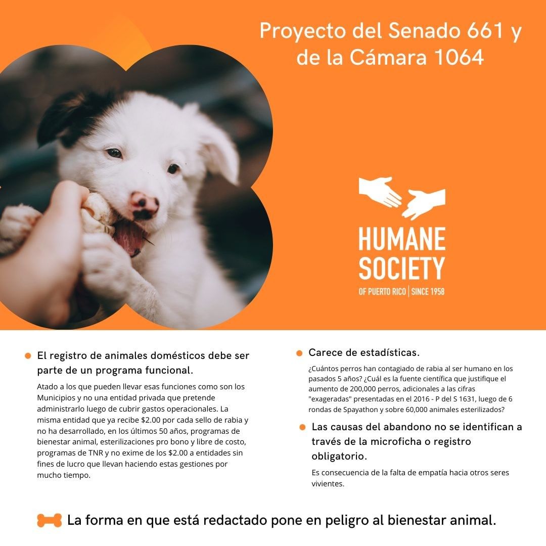 Bajo premisas equivocadas, está corriendo una campaña de apoyo al registro de mascotas obligatorio. Falta mucha información y búsqueda de programas similares para adaptarlo, correctamente, a nuestro país. The Humane Society of PR apoya la postura de la Federación Protectora de Animales @federacionprotectoradeanimales y se opone a los Proyectos del Senado 661 y Cámara 1064 en la forma en que están redactados.

Los proyectos deben regresar a la mesa de trabajo con la participación de grupos y personas que tienen la experiencia, y el conocimiento, en bienestar animal. Pídele a tu representante que los retiren hasta que se puedan adaptar, correctamente, a nuestro país.

<a target='_blank' href='https://www.instagram.com/explore/tags/noalpds661/'>#noalpds661</a> <a target='_blank' href='https://www.instagram.com/explore/tags/noalpdlc1064/'>#noalpdlc1064</a> <a target='_blank' href='https://www.instagram.com/explore/tags/humanepr/'>#humanepr</a> <a target='_blank' href='https://www.instagram.com/explore/tags/registroobligatorio/'>#registroobligatorio</a> <a target='_blank' href='https://www.instagram.com/explore/tags/registrocompulsorio/'>#registrocompulsorio</a> <a target='_blank' href='https://www.instagram.com/explore/tags/perro/'>#perro</a> <a target='_blank' href='https://www.instagram.com/explore/tags/gato/'>#gato</a> <a target='_blank' href='https://www.instagram.com/explore/tags/caballo/'>#caballo</a>