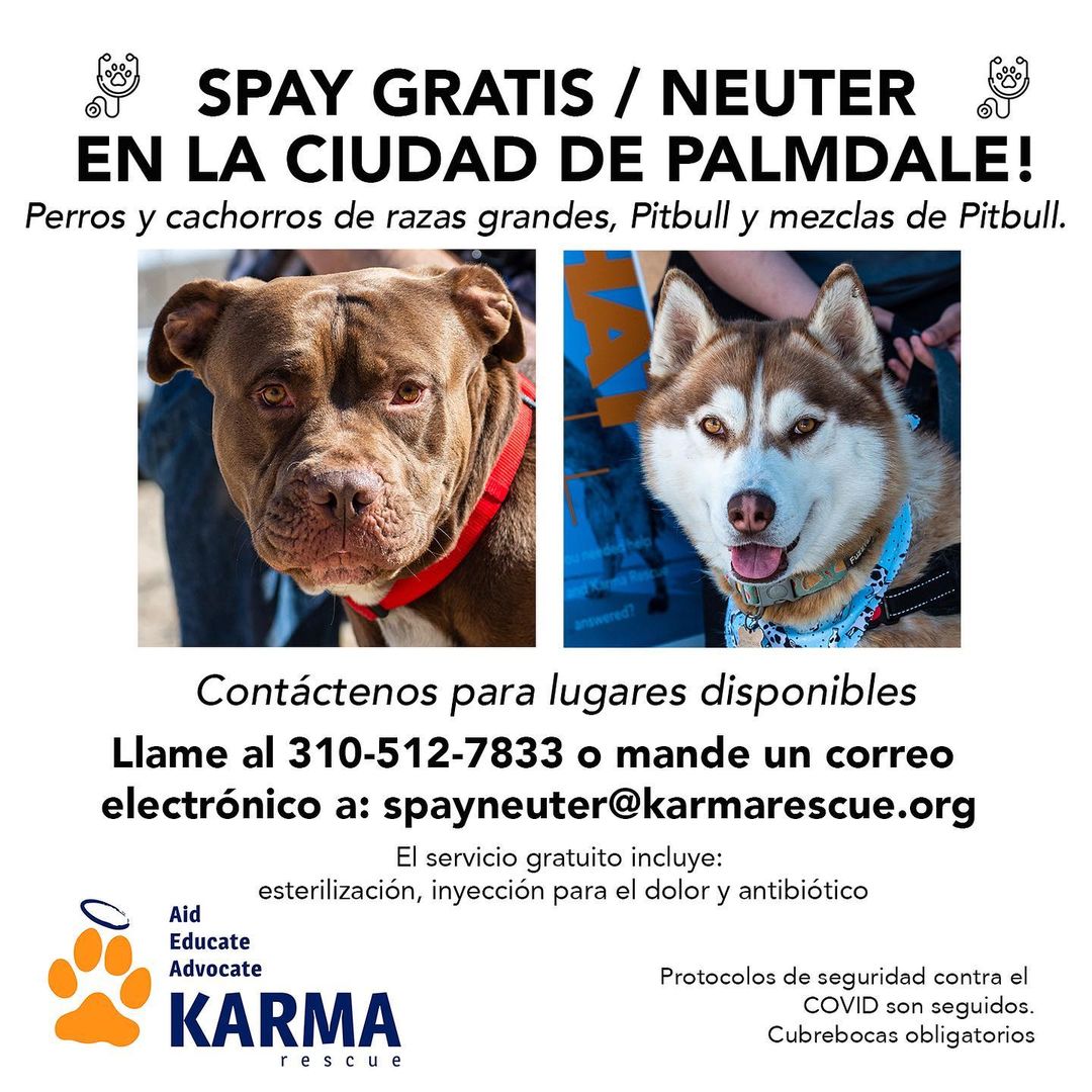 Attention dog parents! We're offering FREE spay/neuter appointments to Large Breed Dogs and Puppies, Pitbull’s and mixes in Antelope Valley! We have a lot of appointments available for big dogs, so if you have a dog companion that needs to be 