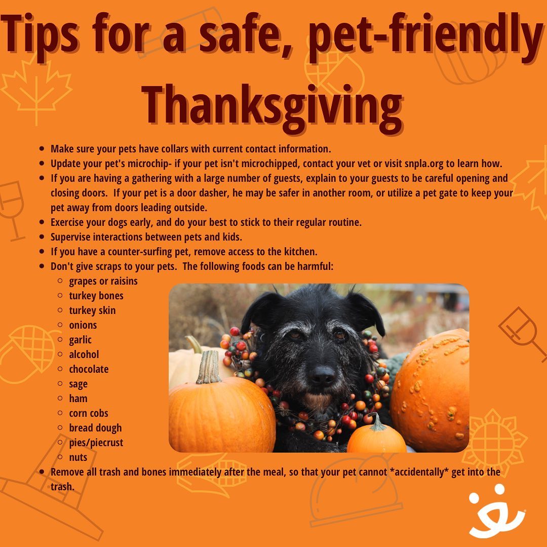 Happy <a target='_blank' href='https://www.instagram.com/explore/tags/TrainingTuesday/'>#TrainingTuesday</a> before Thanksgiving🤗! 

Keep your gatherings safe🦺 and fun😁 for everyone, including your pets🐱🐶. Lots of guests coming and going can create escape options for your pets, so plan ahead to prevent door dashing. And be mindful of the table scraps- many of our Thanksgiving favorites are fatty and can cause health problems like pancreatitis. 😱

<a target='_blank' href='https://www.instagram.com/explore/tags/Thanksgiving/'>#Thanksgiving</a> <a target='_blank' href='https://www.instagram.com/explore/tags/Friendsgiving/'>#Friendsgiving</a> <a target='_blank' href='https://www.instagram.com/explore/tags/petsafety/'>#petsafety</a> <a target='_blank' href='https://www.instagram.com/explore/tags/healthypets/'>#healthypets</a> <a target='_blank' href='https://www.instagram.com/explore/tags/safetyfirst/'>#safetyfirst</a> <a target='_blank' href='https://www.instagram.com/explore/tags/holidayseason/'>#holidayseason</a> <a target='_blank' href='https://www.instagram.com/explore/tags/cats/'>#cats</a> <a target='_blank' href='https://www.instagram.com/explore/tags/dogs/'>#dogs</a> <a target='_blank' href='https://www.instagram.com/explore/tags/adopt/'>#adopt</a> <a target='_blank' href='https://www.instagram.com/explore/tags/foster/'>#foster</a> <a target='_blank' href='https://www.instagram.com/explore/tags/rescue/'>#rescue</a> <a target='_blank' href='https://www.instagram.com/explore/tags/bestfriends/'>#bestfriends</a> <a target='_blank' href='https://www.instagram.com/explore/tags/microchip/'>#microchip</a>