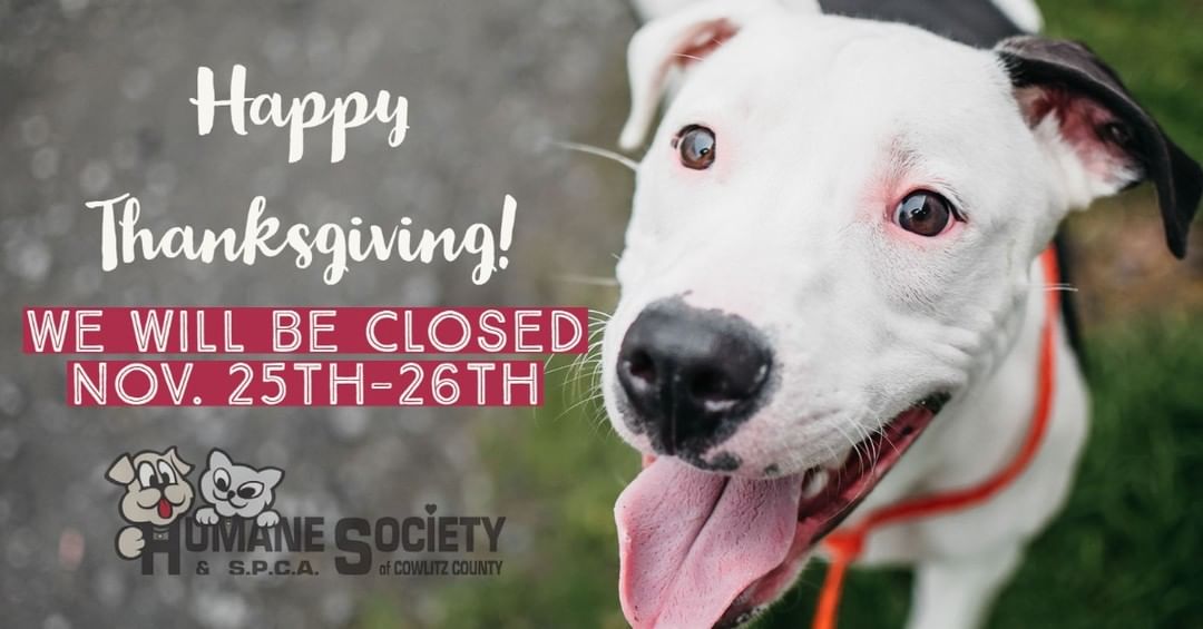 In observation of the holiday we will be closed Thursday Nov. 25th-26th! Animal Control will still be operating on an emergency basis. To reach Animal Control please call (360)577-0151 Ext. 2 and leave a message. We hope you all have a wonderful holiday!❤