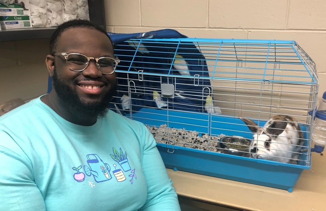 🐰 Maple met her new dad today and is off to live her best life! Join us in congratulating this new dad and wishing them both health and happiness. 

<a target='_blank' href='https://www.instagram.com/explore/tags/hamiltonanimalshelter/'>#hamiltonanimalshelter</a> <a target='_blank' href='https://www.instagram.com/explore/tags/adoptarabbit/'>#adoptarabbit</a> <a target='_blank' href='https://www.instagram.com/explore/tags/bunnylove/'>#bunnylove</a> <a target='_blank' href='https://www.instagram.com/explore/tags/adoptdontshop/'>#adoptdontshop</a>