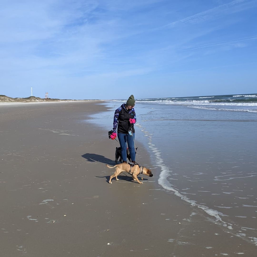 That amazing moment when you find out a once nervous and shy midwest shelter pup like Missy, gets to enjoy their first trip to the beach and that they LOVED it! 🥲

Here's a message from her family:

