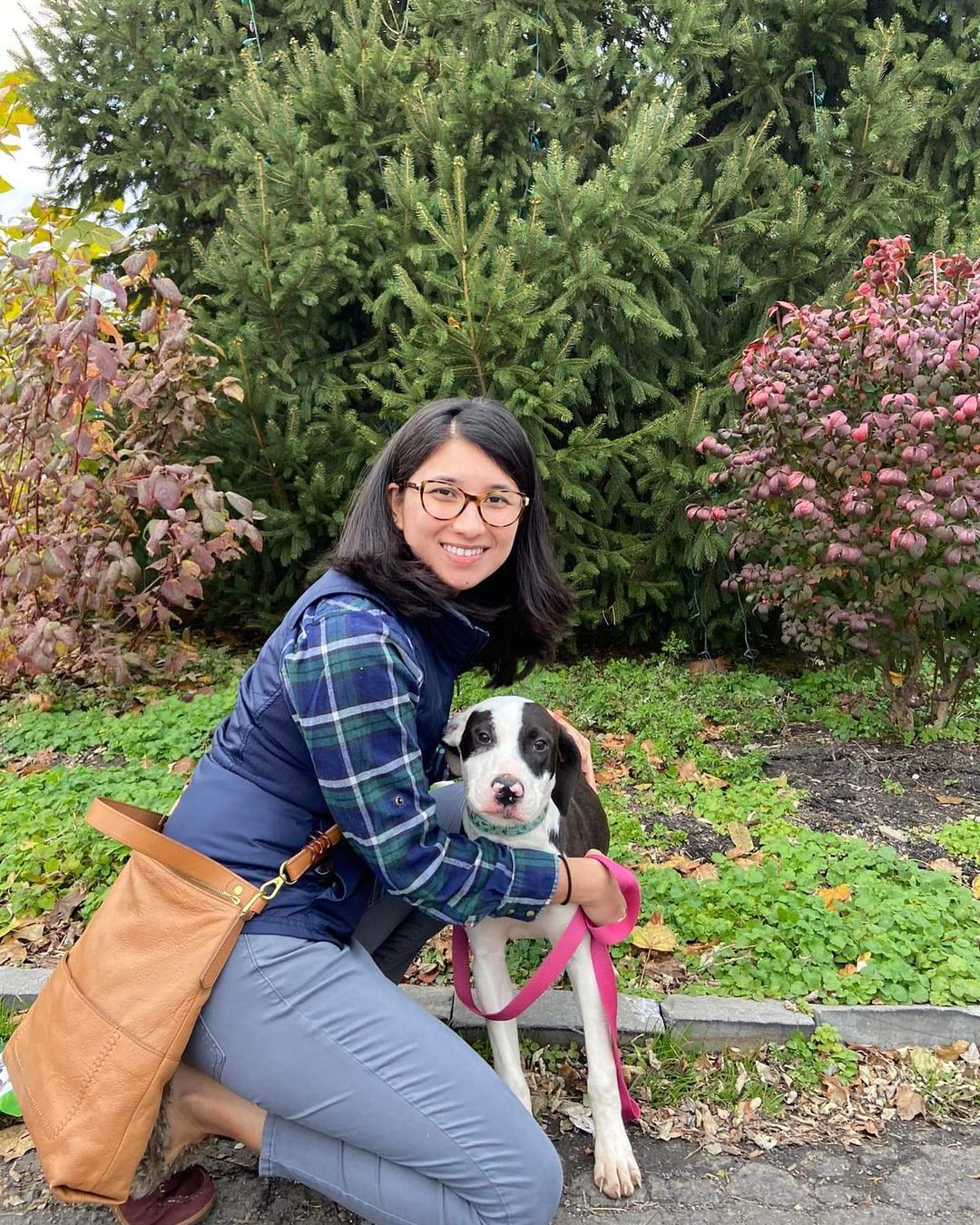 Here are some of our sweet pups who went to their furever home! We are thrilled for all the wonderful people and pups! Thankful for choosing adoption! <a target='_blank' href='https://www.instagram.com/explore/tags/adoptdontshop/'>#adoptdontshop</a> <a target='_blank' href='https://www.instagram.com/explore/tags/thanksgivingeve/'>#thanksgivingeve</a> <a target='_blank' href='https://www.instagram.com/explore/tags/rescuedogsofinstagram/'>#rescuedogsofinstagram</a> <a target='_blank' href='https://www.instagram.com/explore/tags/rescuedismyfavoritebreed/'>#rescuedismyfavoritebreed</a> <a target='_blank' href='https://www.instagram.com/explore/tags/muttsofinstagram/'>#muttsofinstagram</a> <a target='_blank' href='https://www.instagram.com/explore/tags/humpday/'>#humpday</a> <a target='_blank' href='https://www.instagram.com/explore/tags/holidayseason/'>#holidayseason</a> <a target='_blank' href='https://www.instagram.com/explore/tags/happygotchaday/'>#happygotchaday</a>