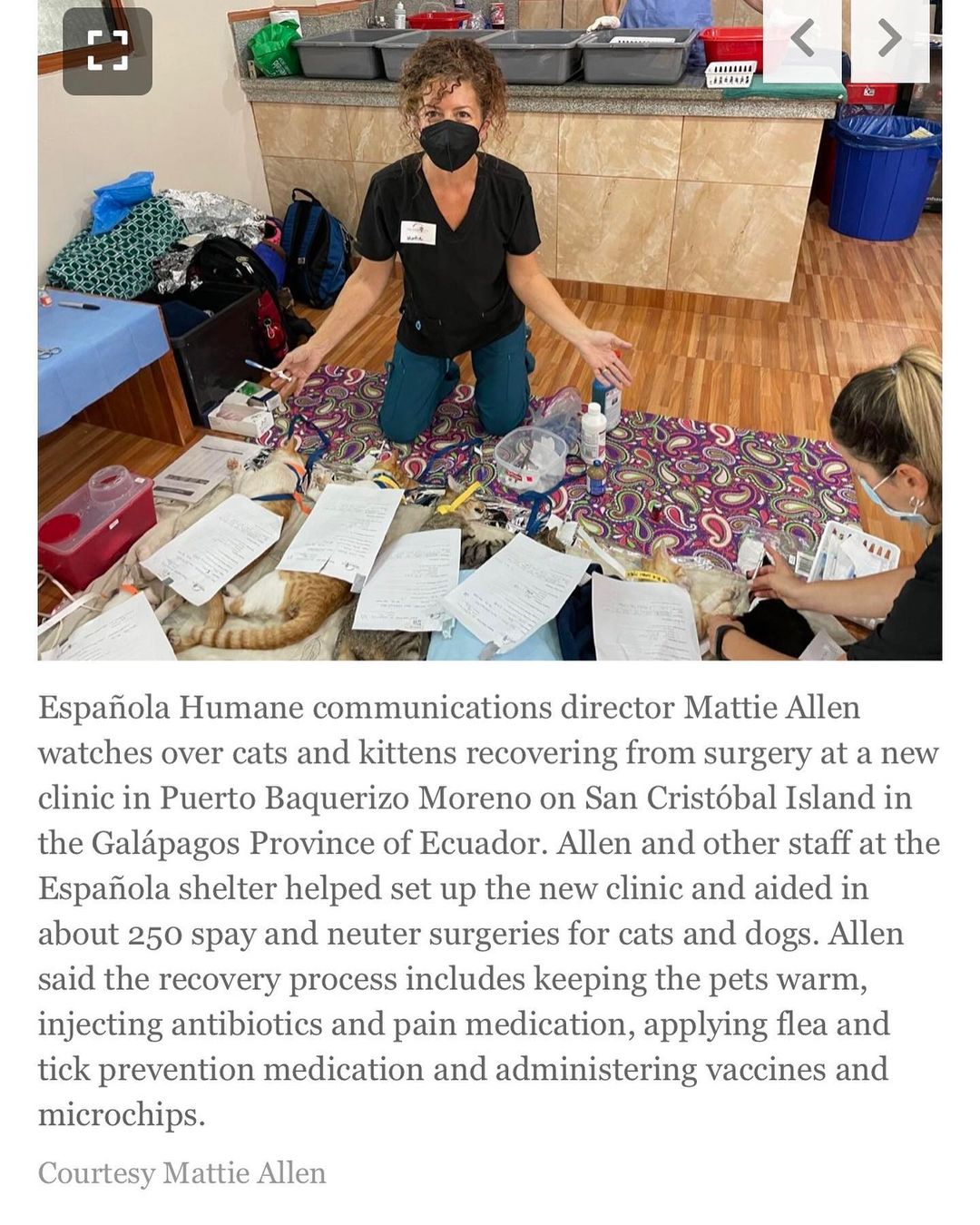 If our social media has seemed a little different lately, this is why! Dr. Parker and I have been spending vacation time volunteering with @worldvets1 on San Cristóbal Island of the Galápagos! These photos were provided for an article today in the @sfnewmexican - go check it out online and stay tuned: over the next week, we will be sharing some posts about our work there!
 

Dr. Parker led a team of six veterinarians, three vet techs, and several vet assistants to open a new vet clinic; over the week, 343 dogs and cats were serviced with free spay and neuter services and free veterinary care. The clinic is a part of the newly launched Conservation Medicine Program, working to protect the biodiversity of the Galápagos Islands.

<a target='_blank' href='https://www.instagram.com/explore/tags/espajolahumane/'>#espajolahumane</a> <a target='_blank' href='https://www.instagram.com/explore/tags/moreloveperpaw/'>#moreloveperpaw</a> <a target='_blank' href='https://www.instagram.com/explore/tags/gotheextramile/'>#gotheextramile</a> <a target='_blank' href='https://www.instagram.com/explore/tags/gothedistance/'>#gothedistance</a> <a target='_blank' href='https://www.instagram.com/explore/tags/worldvets/'>#worldvets</a> <a target='_blank' href='https://www.instagram.com/explore/tags/galapagos/'>#galapagos</a> <a target='_blank' href='https://www.instagram.com/explore/tags/galapagosislands/'>#galapagosislands</a> <a target='_blank' href='https://www.instagram.com/explore/tags/spayandneuter/'>#spayandneuter</a> <a target='_blank' href='https://www.instagram.com/explore/tags/vaccinate/'>#vaccinate</a> <a target='_blank' href='https://www.instagram.com/explore/tags/wellness/'>#wellness</a> <a target='_blank' href='https://www.instagram.com/explore/tags/veterinarian/'>#veterinarian</a> <a target='_blank' href='https://www.instagram.com/explore/tags/vettech/'>#vettech</a> <a target='_blank' href='https://www.instagram.com/explore/tags/vettechlife/'>#vettechlife</a> <a target='_blank' href='https://www.instagram.com/explore/tags/veterinario/'>#veterinario</a> <a target='_blank' href='https://www.instagram.com/explore/tags/veterinaria/'>#veterinaria</a> <a target='_blank' href='https://www.instagram.com/explore/tags/veterinarymedicine/'>#veterinarymedicine</a> <a target='_blank' href='https://www.instagram.com/explore/tags/dogoodfeelgood/'>#dogoodfeelgood</a> <a target='_blank' href='https://www.instagram.com/explore/tags/dogoodthings/'>#dogoodthings</a> <a target='_blank' href='https://www.instagram.com/explore/tags/volunteer/'>#volunteer</a> <a target='_blank' href='https://www.instagram.com/explore/tags/travel/'>#travel</a> <a target='_blank' href='https://www.instagram.com/explore/tags/seetheworld/'>#seetheworld</a> <a target='_blank' href='https://www.instagram.com/explore/tags/animalshelter/'>#animalshelter</a> <a target='_blank' href='https://www.instagram.com/explore/tags/newmexico/'>#newmexico</a> <a target='_blank' href='https://www.instagram.com/explore/tags/ecuador/'>#ecuador</a> <a target='_blank' href='https://www.instagram.com/explore/tags/espa/'>#espa</a>ñola <a target='_blank' href='https://www.instagram.com/explore/tags/santafe/'>#santafe</a> <a target='_blank' href='https://www.instagram.com/explore/tags/albuquerque/'>#albuquerque</a> <a target='_blank' href='https://www.instagram.com/explore/tags/taos/'>#taos</a> <a target='_blank' href='https://www.instagram.com/explore/tags/losalamos/'>#losalamos</a> <a target='_blank' href='https://www.instagram.com/explore/tags/abiquiu/'>#abiquiu</a>