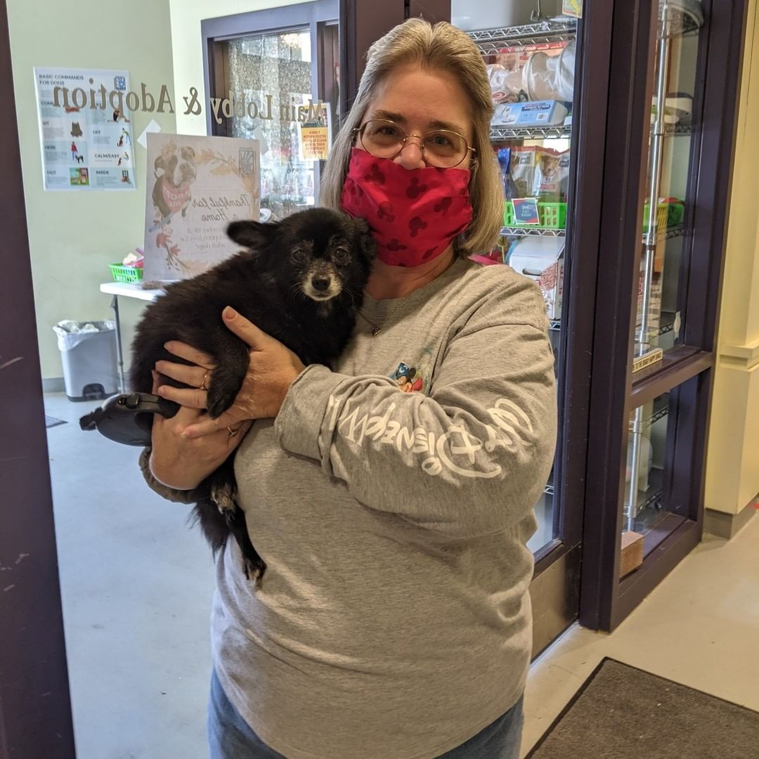 CONGRATULATIONS to the 45 pets that were adopted this week, including Kobe, Tikka Masala, Dr. Frank, and Heather, pictured below! <3

Cats: Bryn, Jasper, Pizza Mum, Lofa Boy, Winston, Cobbler, Kettle, Misha, Mama Kitty, Roxanne, Alastair, White Ferrari, Solo, Lamborghini, Ravenclaw, Slytherin, Prince Sansa, Arya, Melanie, Herman, Tatooine, Naboo, Dr. Finklestein, Question Mark, Dibella, Dr. Frank, Helsinki, Moscow, Dandelion, Ren, and Emerald

Dogs: Chinook, Young Gravy, Bruno, Flossie, Tikki Masala, Gretchen, Lamb Chop, Archer, Kobe Fka String Bean, Trixie, Brian, Alma

Ferrets: Herschel and Dumpster Dan

Thank you to @animalconnectionva  for hosting an awesome adoption event this weekend! *Bonus thank you to Lampo Neapolitan Pizzeria for donating pizza for volunteers and shelter staff!

Thank you for adopting with us! :)