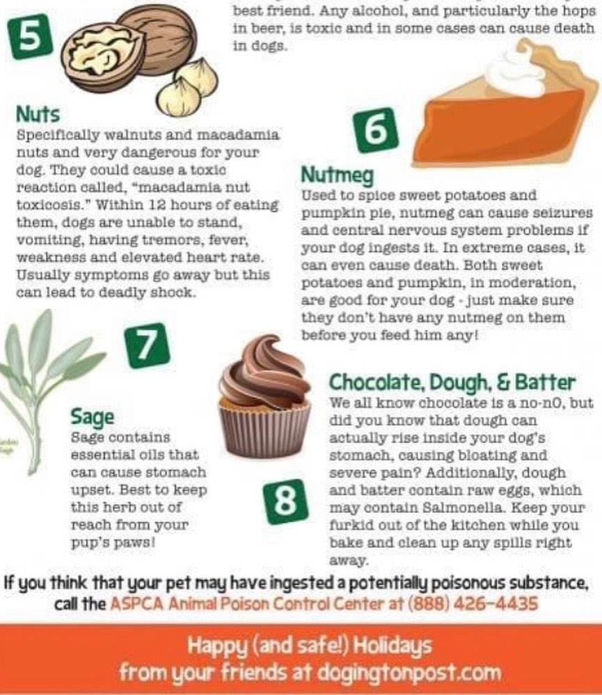 We know you love your dogs and the temptation is real to slip them some goodies from your holiday meal. Be careful! There are many foods we eat that are dangerous for dogs and every Thanksgiving veterinarians see a spike in food-related illnesses. 

Check out these foods to avoid.....

Accidents happen.  If you feel your pet may have ingested a potentially poisonous substance, you can call the ASPCA Animal Poison Control Center at (888) 426-4435.

The Worthy Dog Team wishes everyone a safe and Happy Thanksgiving!