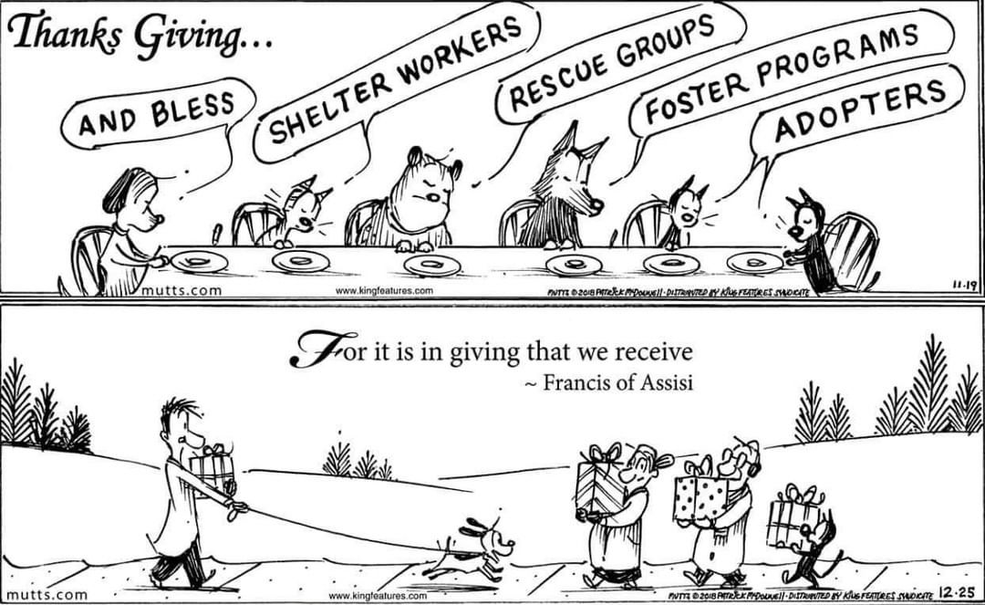 To all, including our followers and supporters, we are so thankful for you, and wish the best of life’s blessings to you and yours.
“For it is in giving that we receive.”
Have a wonderful Thanksgiving Holiday!

<a target='_blank' href='https://www.instagram.com/explore/tags/thanksgiving/'>#thanksgiving</a> <a target='_blank' href='https://www.instagram.com/explore/tags/blessed/'>#blessed</a> <a target='_blank' href='https://www.instagram.com/explore/tags/grateful/'>#grateful</a> <a target='_blank' href='https://www.instagram.com/explore/tags/rescuedogsofinstagram/'>#rescuedogsofinstagram</a> <a target='_blank' href='https://www.instagram.com/explore/tags/rescue/'>#rescue</a>  <a target='_blank' href='https://www.instagram.com/explore/tags/tinasbedandbiscuit/'>#tinasbedandbiscuit</a>