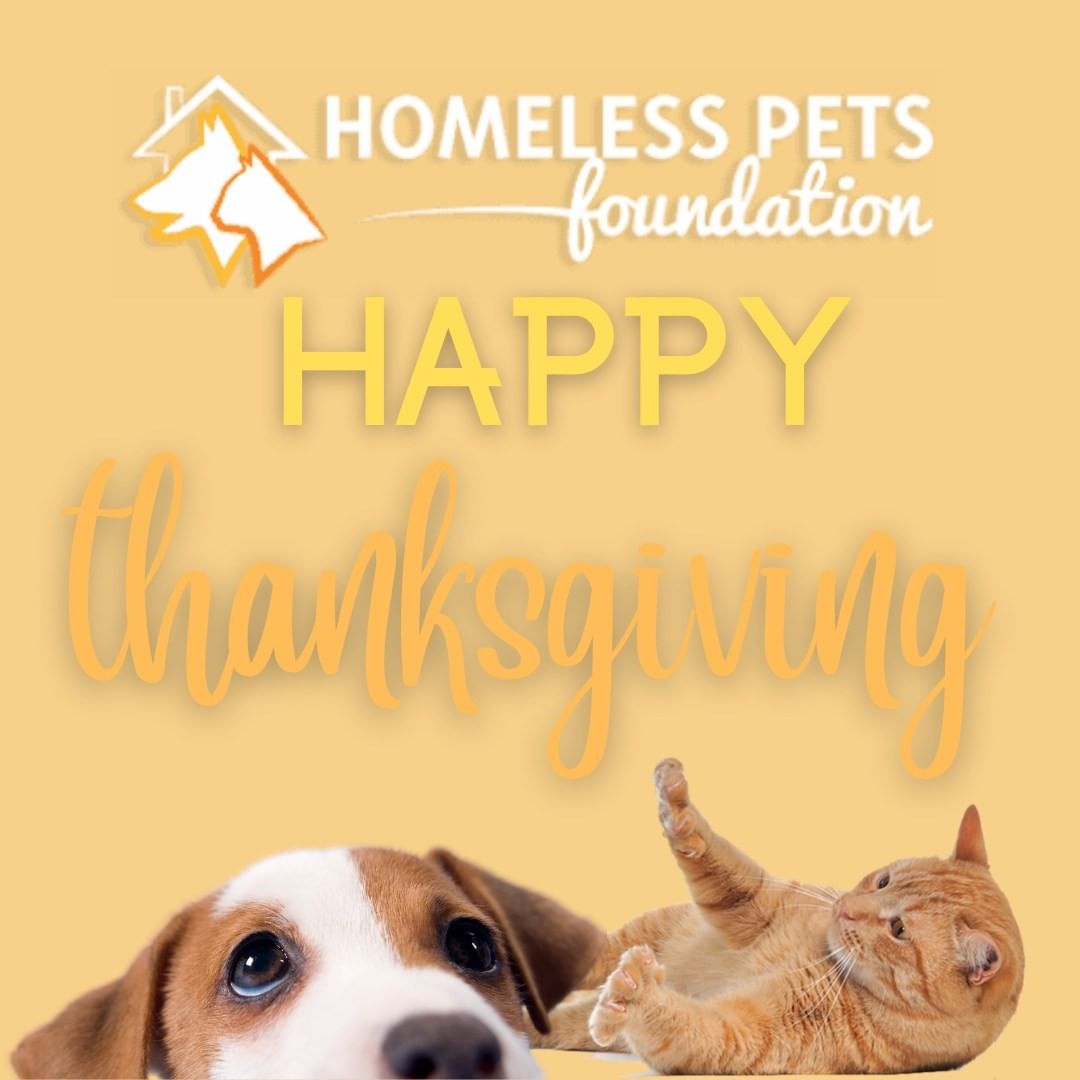 Happy Thanksgiving to our Homeless Pets Family. What are you thankful for today?

<a target='_blank' href='https://www.instagram.com/explore/tags/homelesspetsfoundation/'>#homelesspetsfoundation</a> <a target='_blank' href='https://www.instagram.com/explore/tags/thanksgiving/'>#thanksgiving</a> <a target='_blank' href='https://www.instagram.com/explore/tags/adopt/'>#adopt</a> <a target='_blank' href='https://www.instagram.com/explore/tags/family/'>#family</a> <a target='_blank' href='https://www.instagram.com/explore/tags/turkeyday/'>#turkeyday</a> <a target='_blank' href='https://www.instagram.com/explore/tags/cats/'>#cats</a> <a target='_blank' href='https://www.instagram.com/explore/tags/dogs/'>#dogs</a>