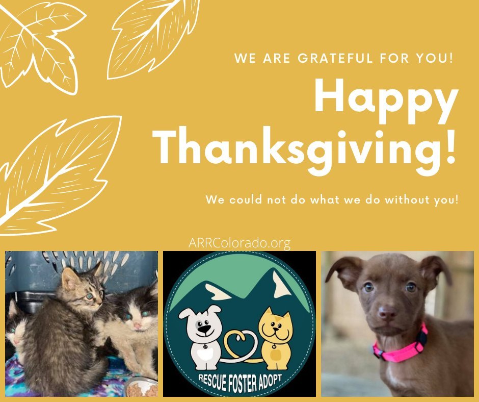 From our Animal Rescue of the Rockies family to you and your family, Happy Thanksgiving! 

<a target='_blank' href='https://www.instagram.com/explore/tags/Grateful/'>#Grateful</a> <a target='_blank' href='https://www.instagram.com/explore/tags/HappyThanksgiving/'>#HappyThanksgiving</a> <a target='_blank' href='https://www.instagram.com/explore/tags/AnimalRescueoftheRockies/'>#AnimalRescueoftheRockies</a> <a target='_blank' href='https://www.instagram.com/explore/tags/ARRColorado/'>#ARRColorado</a> <a target='_blank' href='https://www.instagram.com/explore/tags/RescueFosterAdopt/'>#RescueFosterAdopt</a>