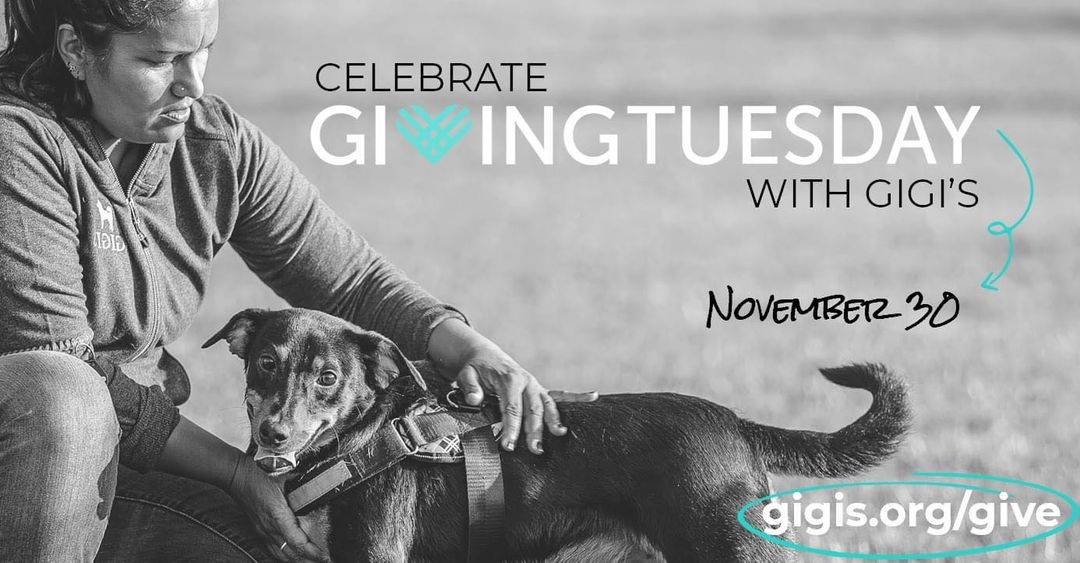 Join Team Gigi's for Giving Tuesday and help save homeless dogs in need! 

Your gift will help provide free vaccines, veterinary care, behavioral support, shelter transportation, housing, and adoption services to shelter dogs in rural, impoverished communities. With the support of people like you, we can provide 6,000+ homeless dogs each year with rescue and rehabilitation services to help them get adopted.

Instagram pays all donation processing fees, so 100% of your gift goes directly to helping homeless dogs. 

Learn more about Gigi's by visiting our profile, and tap the link in the bio to check out our adoptable dogs!