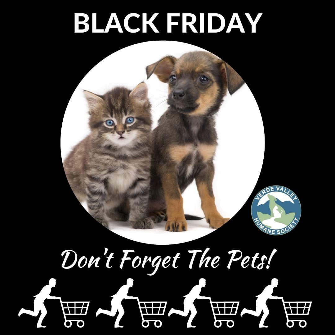 Good morning!  Are you up bright and early to grab some Black Friday deals?  Don't forget VVHS!  We've got an Amazon Wishlist full of things the homeless pets in our care are wishing for (and a few things our dedicated staff needs as well!). It's super easy to send a gift from our Wish List - Amazon delivers it directly to our shelter at no extra charge. Find a link to the List in our Bio!

<a target='_blank' href='https://www.instagram.com/explore/tags/VVHSCares/'>#VVHSCares</a> <a target='_blank' href='https://www.instagram.com/explore/tags/Charity/'>#Charity</a> <a target='_blank' href='https://www.instagram.com/explore/tags/VerdeValley/'>#VerdeValley</a> <a target='_blank' href='https://www.instagram.com/explore/tags/cottonwood/'>#cottonwood</a> <a target='_blank' href='https://www.instagram.com/explore/tags/safetynet/'>#safetynet</a> <a target='_blank' href='https://www.instagram.com/explore/tags/animalrescue/'>#animalrescue</a> <a target='_blank' href='https://www.instagram.com/explore/tags/shelter/'>#shelter</a> <a target='_blank' href='https://www.instagram.com/explore/tags/donate/'>#donate</a> <a target='_blank' href='https://www.instagram.com/explore/tags/Amazon/'>#Amazon</a>  <a target='_blank' href='https://www.instagram.com/explore/tags/RememberThePets/'>#RememberThePets</a> <a target='_blank' href='https://www.instagram.com/explore/tags/CyberMonday/'>#CyberMonday</a> <a target='_blank' href='https://www.instagram.com/explore/tags/GivingTuesday/'>#GivingTuesday</a><a target='_blank' href='https://www.instagram.com/explore/tags/RememberThePets/'>#RememberThePets</a> <a target='_blank' href='https://www.instagram.com/explore/tags/BlackFriday/'>#BlackFriday</a> <a target='_blank' href='https://www.instagram.com/explore/tags/GivingTuesday/'>#GivingTuesday</a>