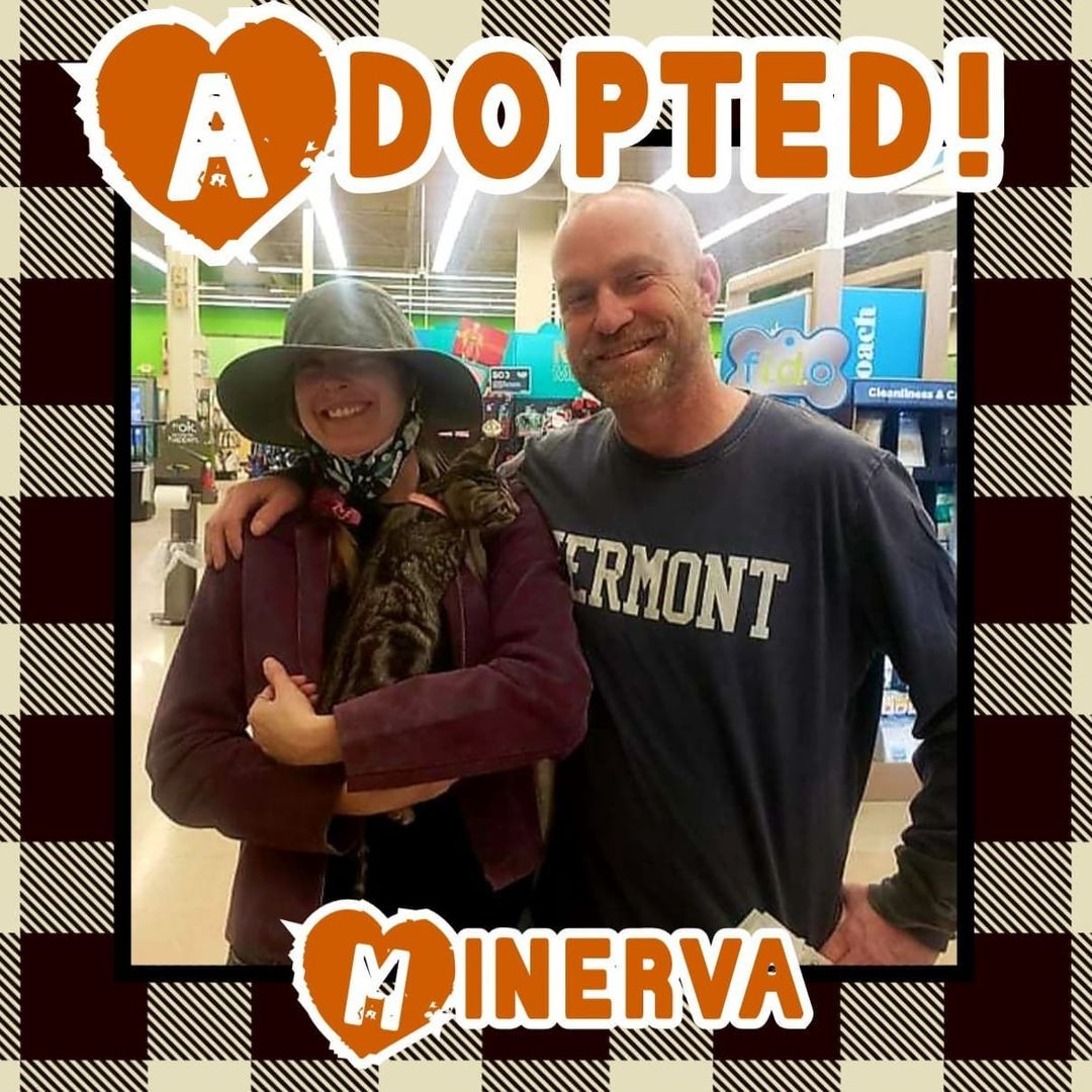 🥰HAPPY TAILS!🥰 Congrats to Nikki, Fable, Monte, Minerva and Toffee on finding their happily ever after's! Go enjoy your 1st <a target='_blank' href='https://www.instagram.com/explore/tags/thanksgiving/'>#thanksgiving</a> with your new families! 🦃
<a target='_blank' href='https://www.instagram.com/explore/tags/rescue/'>#rescue</a> <a target='_blank' href='https://www.instagram.com/explore/tags/dontshopadopt/'>#dontshopadopt</a> <a target='_blank' href='https://www.instagram.com/explore/tags/mixedbreedpurelove/'>#mixedbreedpurelove</a> <a target='_blank' href='https://www.instagram.com/explore/tags/cats/'>#cats</a> <a target='_blank' href='https://www.instagram.com/explore/tags/catsofinstagram/'>#catsofinstagram</a> <a target='_blank' href='https://www.instagram.com/explore/tags/shelterdogs/'>#shelterdogs</a> <a target='_blank' href='https://www.instagram.com/explore/tags/foster/'>#foster</a> <a target='_blank' href='https://www.instagram.com/explore/tags/fosteringsaveslives/'>#fosteringsaveslives</a> <a target='_blank' href='https://www.instagram.com/explore/tags/bethechange/'>#bethechange</a> <a target='_blank' href='https://www.instagram.com/explore/tags/onebyoneuntiltherearenone/'>#onebyoneuntiltherearenone</a> 

🧡 shelterfriends.org 🧡