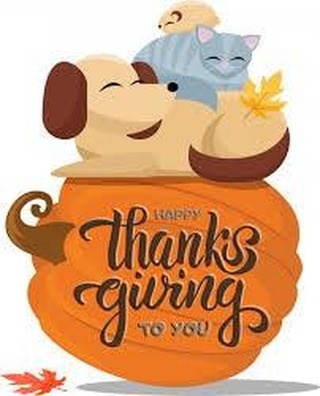 We will be closed this Thursday and Friday. We are thankful for our community of supports and pet lovers! Don’t forget we will begin booking appointments for Empty the Shelters next week for $25 adoptions from December 6th-20th. Happy Thanksgiving!