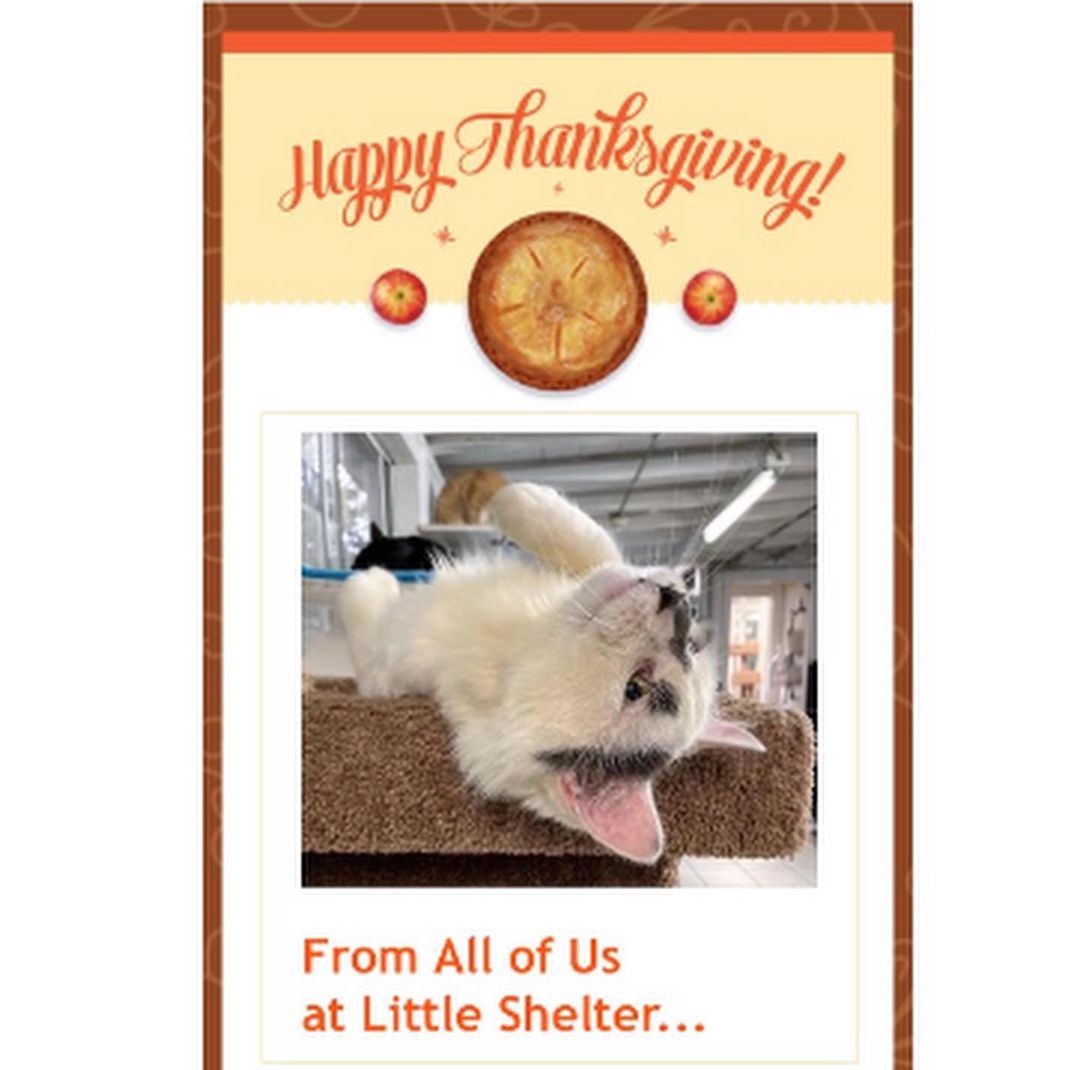 This Thanksgiving...Little Shelter is Grateful for YOU! <a target='_blank' href='https://www.instagram.com/explore/tags/thanksgiving/'>#thanksgiving</a> <a target='_blank' href='https://www.instagram.com/explore/tags/littleshelteranimalrescue/'>#littleshelteranimalrescue</a> <a target='_blank' href='https://www.instagram.com/explore/tags/94years/'>#94years</a> <a target='_blank' href='https://www.instagram.com/explore/tags/savinglives/'>#savinglives</a> <a target='_blank' href='https://www.instagram.com/explore/tags/huntington/'>#huntington</a> <a target='_blank' href='https://www.instagram.com/explore/tags/longisland/'>#longisland</a> <a target='_blank' href='https://www.instagram.com/explore/tags/nyc/'>#nyc</a>