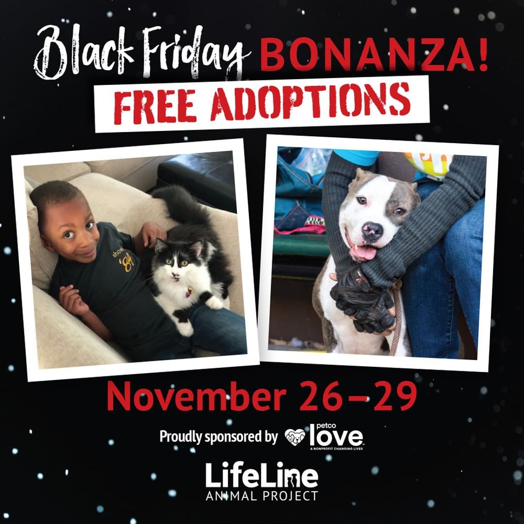 Do something different this Black Friday and adopt a new best friend! Starting Friday, November 26th through Monday, November 29th, you can adopt a pet for free from any LifeLine shelter or foster home. Visit Fulton County Animal Services this weekend and meet your new BFF! Check out all of our adoptable pets at FultonAnimalServices.com/adoptable-animals

Thank you, Petco Love  for sponsoring this lifesaving event!