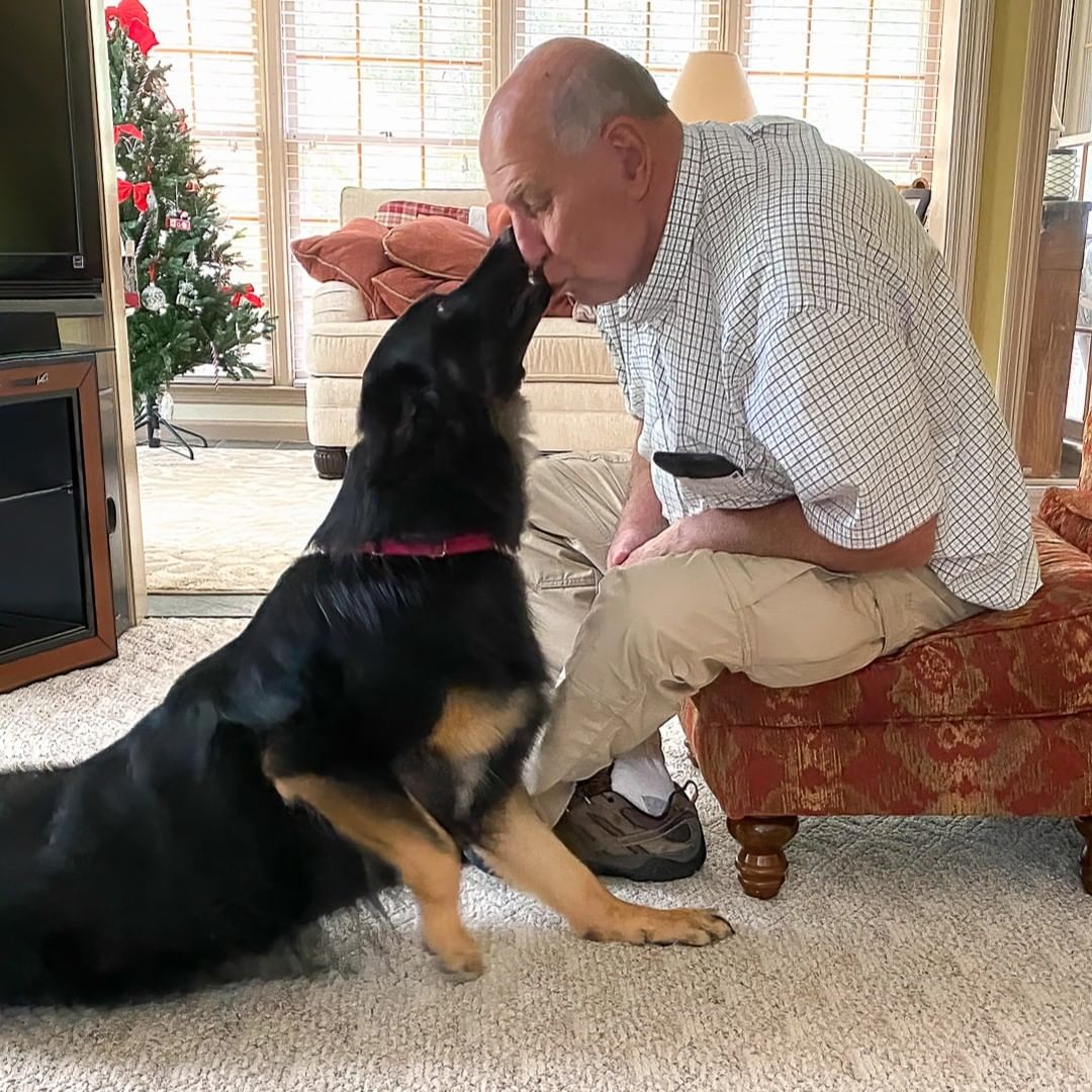 🦃🥧🍗🦃🥧🍗Happy Thanksgiving to all of our wonderful fosters, adopters and sponsors. And a VERY special thank you to Tom Graham. We are very THANKFUL and forever grateful for your sponsorships of our dogs with special needs and those who need orthopedic care. 

Tom adopted Sophie in June 2020. She came to CPR as a stray with a leg injury that was severely infected and as a result her back right left needed to be amputated. She recovered wonderfully with a foster family before Tom adopted her. Sophie is a lucky girl, enjoying a happy and healthy life. Our 5K fundraiser 