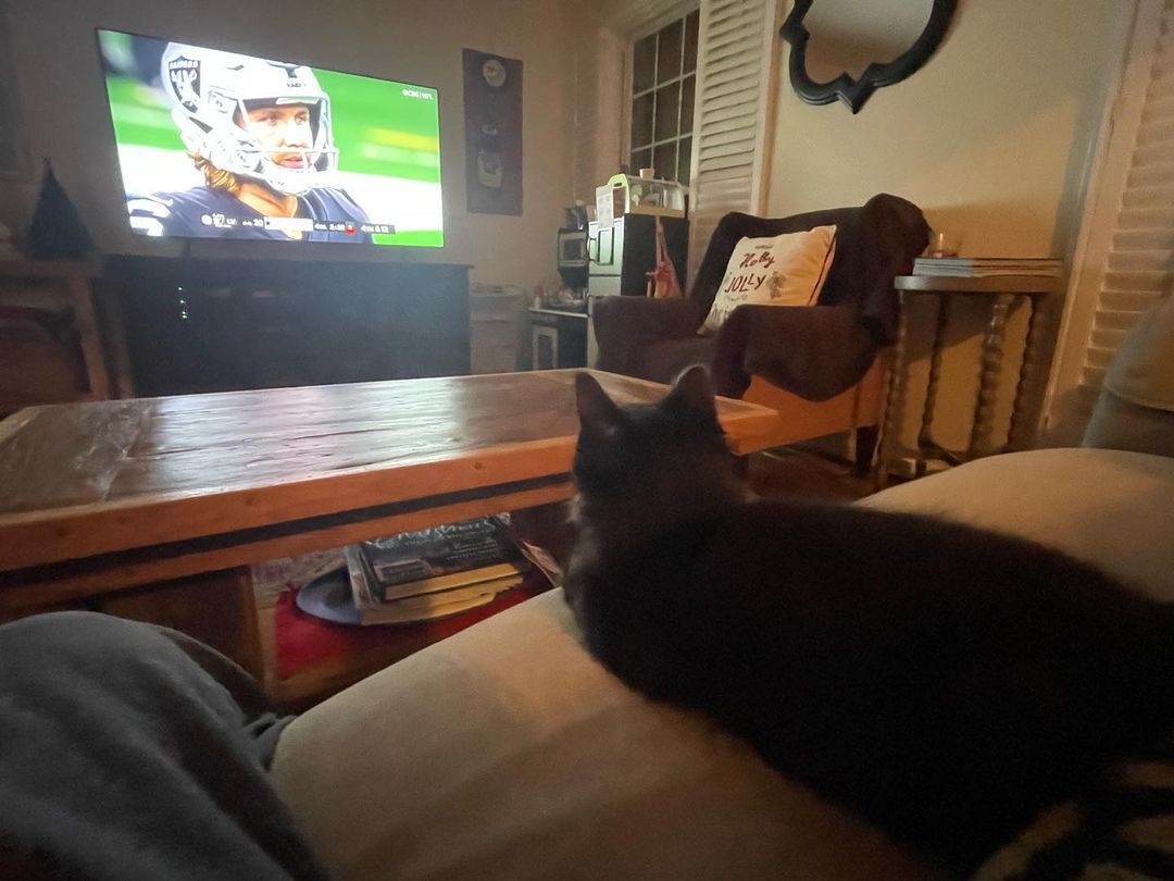 Recently adopted Alvin (formerly Jerry) spent his Thanksgiving night watching the big game. How are your rescues spending the holiday weekend? Let’s see some photos!!! Tag us @wcanimalcenter