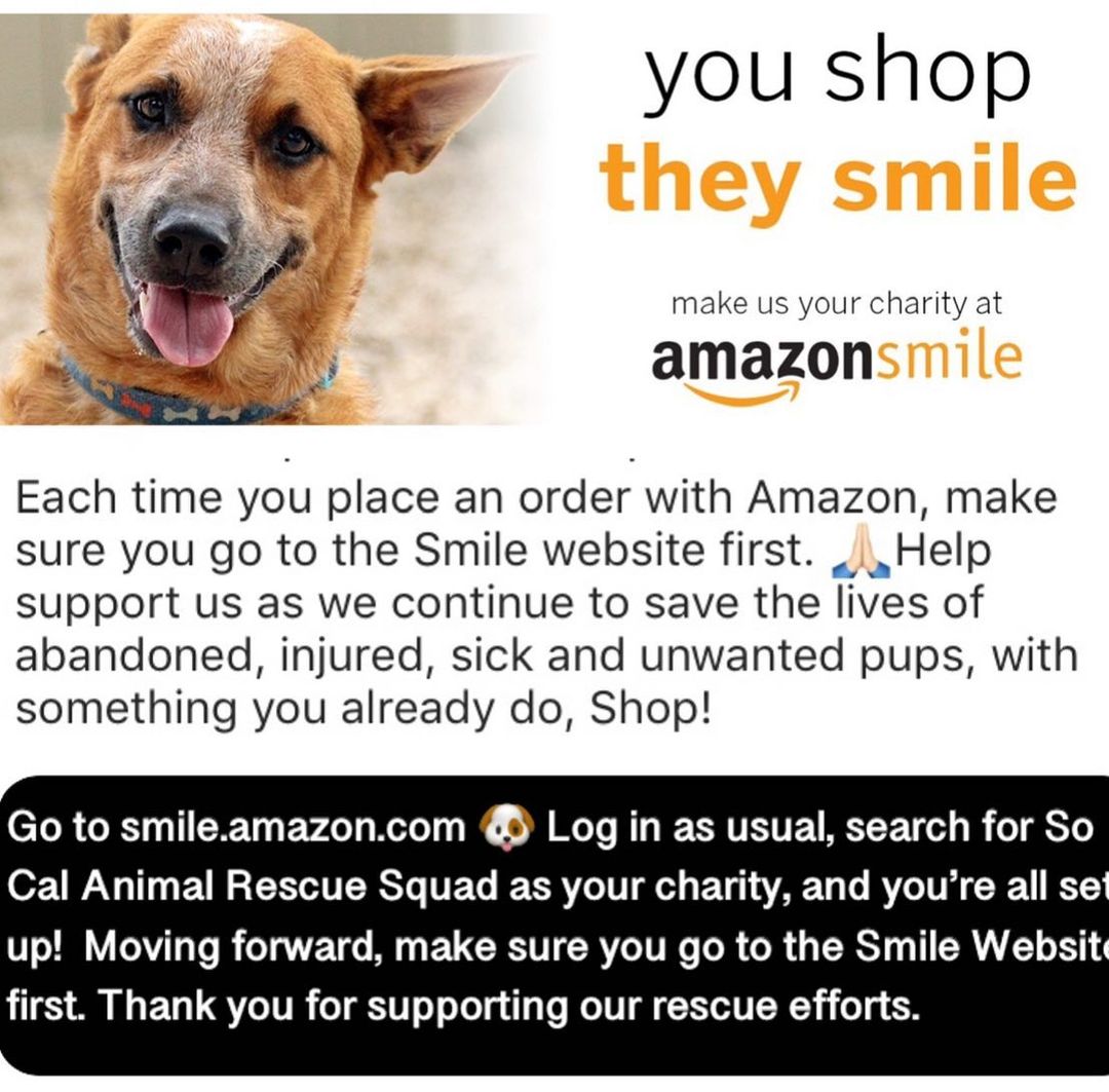 ⠀
Happy Black Friday! Do you have a charity of choice with amazonSmile? When you choose us as your charity of choice, Amazon will donate a portion of your purchase towards our cause. Every little helps! This is all year long! Instructions to set up are on the slides.
⠀
Thank you and happy shopping!
⠀
<a target='_blank' href='https://www.instagram.com/explore/tags/jointhescars/'>#jointhescars</a> <a target='_blank' href='https://www.instagram.com/explore/tags/heroeshelpingheroes/'>#heroeshelpingheroes</a> <a target='_blank' href='https://www.instagram.com/explore/tags/adoptdontshop/'>#adoptdontshop</a> <a target='_blank' href='https://www.instagram.com/explore/tags/amazonsmile/'>#amazonsmile</a> <a target='_blank' href='https://www.instagram.com/explore/tags/pickyourcharity/'>#pickyourcharity</a>