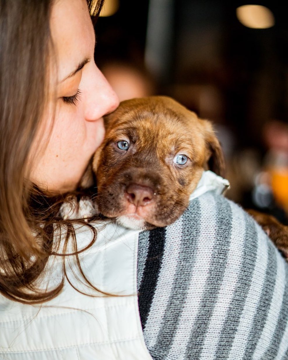 This Thanksgiving, we have much to be thankful for:

•Foster homes & volunteers who selflessly dedicate their time and homes.
•Adopters who give our animals a second chance.
•Rescue & shelter partners who tirelessly work to network and transport animals from the at-risk situations we save them from.
•Veterinary partners who compassionately assist us with expensive and heartbreaking medical cases.
•Donors and supporters who generously give to support the safety and successful placement of over 1,000 animals each year.

May your day be full of food, family, friends, and many wagging tails. Happy Thanksgiving!