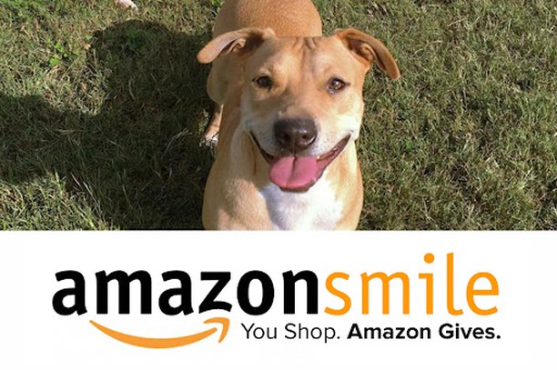 Black Friday is coming up; I know lots of y’all are going to be shopping on Amazon
PLEASE, instead, shop on AmazonSmile; it’s the EXACT SAME THING, but instead of clicking on https://www.amazon.com/, click https://smile.amazon.com, and CHOOSE POOCH SAVERS RESCUE as your charity of choice
WE WILL GET DONATIONS 🙂
IT COSTS YOU NOTHING 🙂
THANK YOU ❤