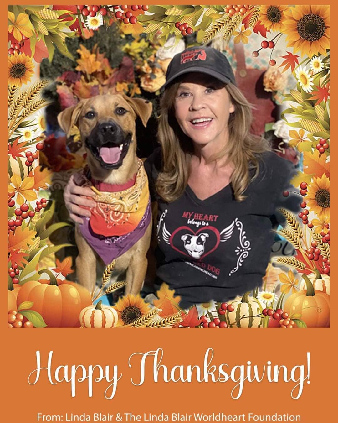 Wishing you all a very Happy & Safe Thanksgiving!

Thank you all for your support and helping us to save so many lives. We are so grateful for all of you! 

Love,
Linda Blair, the LBWF team and the rescued dogs