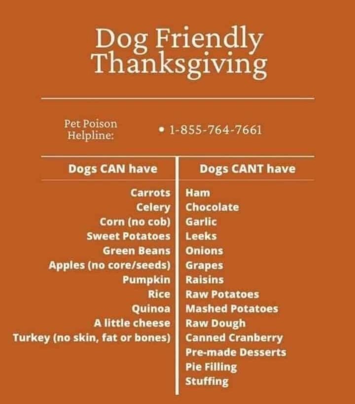 Keep your puppers safe on Thanksgiving!