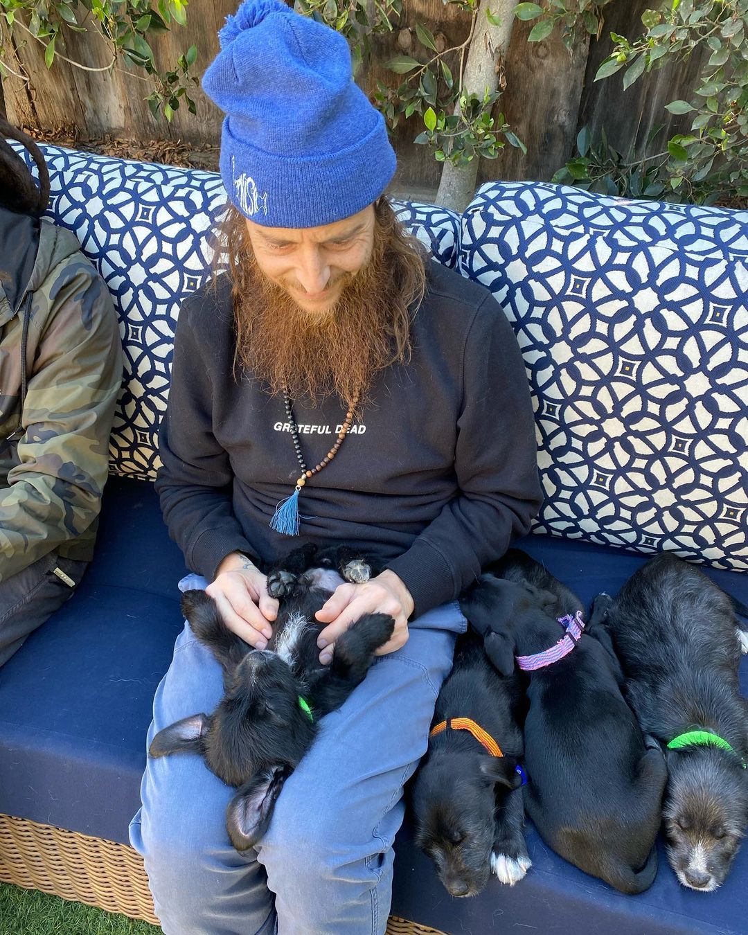 Hi, we are the some of the boys from the “Latin” litter. We are 10 week old pittie/poodle mixes ready for our forever homes! 💃🏻

Our mom is a grey pittie (around 40 lbs) and our dad is a poodle (see picture attached), so we think we'll be about 30 lbs full grown! We were part of an accidental litter and almost ended up in the shelter with our mom before a kind lady stepped in and welcomed us into her home. 

She and her family (including 3 kids and 4 other doggos!) raised us for the past ten weeks, but knew she could not handle us anymore and entrusted HIT Living to place us with the best families! We are now split up in a few different foster homes while we wait for our new homes. We are all healthy, playful pups who love to play just as much as we love to cuddle with our people. 

HIT Living is looking for individuals or families who are willing to put in the time and effort to raise a puppy and who are ready to commit to loving us FOR LIFE! ✨

There’s 6 boys and 3 girls total. The puppies featured in this post are:

- Maluma (dark black & white/scruffy) - green collar
- Mr. 305 (black white/scruffy) - orange collar
- Ricky Martin (greyish/white, scruffy) - green collar

Apply to adopt them at hitlivingfoundation.org 💛

<a target='_blank' href='https://www.instagram.com/explore/tags/hitliving/'>#hitliving</a> <a target='_blank' href='https://www.instagram.com/explore/tags/foundlove/'>#foundlove</a> <a target='_blank' href='https://www.instagram.com/explore/tags/pitpuppies/'>#pitpuppies</a> <a target='_blank' href='https://www.instagram.com/explore/tags/poodlemix/'>#poodlemix</a> <a target='_blank' href='https://www.instagram.com/explore/tags/pittiemix/'>#pittiemix</a> <a target='_blank' href='https://www.instagram.com/explore/tags/adoptme/'>#adoptme</a> <a target='_blank' href='https://www.instagram.com/explore/tags/losangeles/'>#losangeles</a> <a target='_blank' href='https://www.instagram.com/explore/tags/sfv/'>#sfv</a> <a target='_blank' href='https://www.instagram.com/explore/tags/socal/'>#socal</a> <a target='_blank' href='https://www.instagram.com/explore/tags/puppiesofinsta/'>#puppiesofinsta</a> <a target='_blank' href='https://www.instagram.com/explore/tags/puppiesoftheday/'>#puppiesoftheday</a>