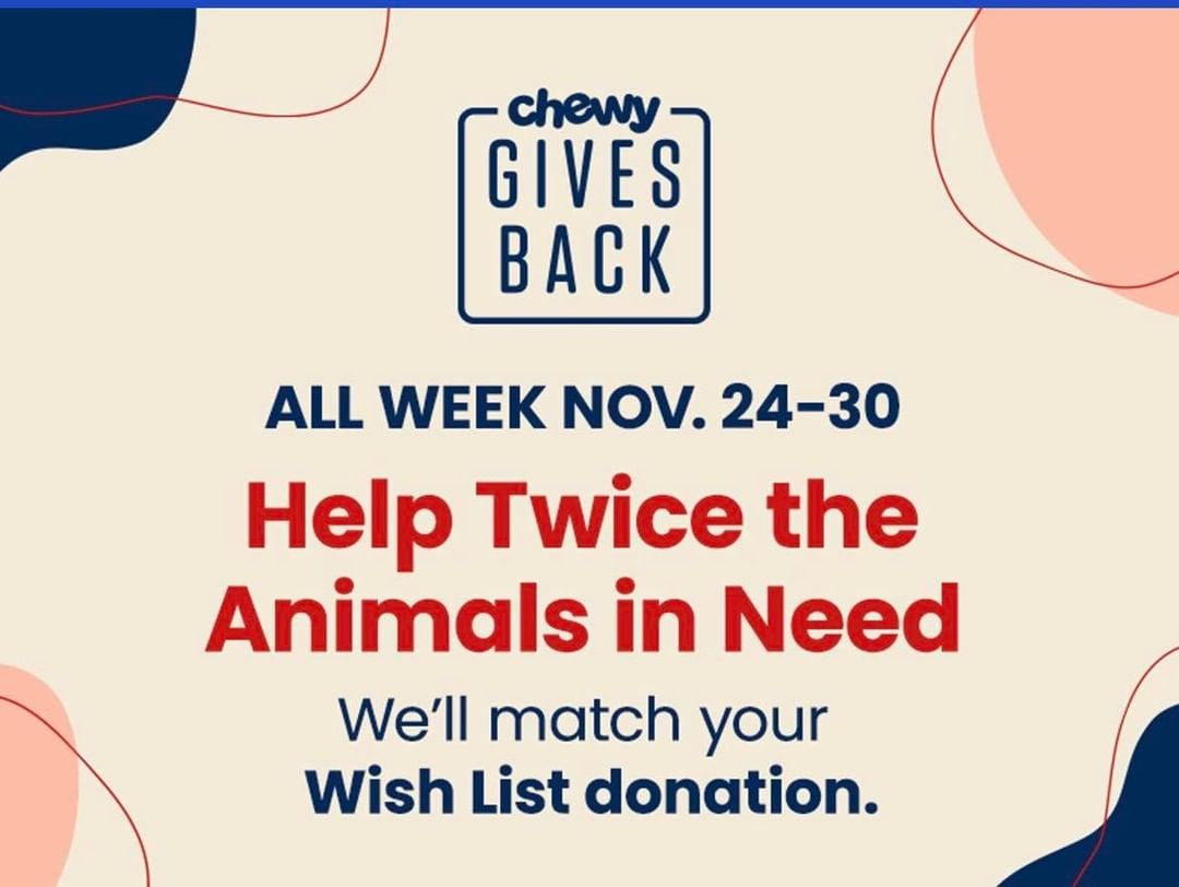 We need supplies and Chewy is giving back!

Chewy is celebrating Giving Tuesday for a full week by matching donations made to a shelter or rescue through their Wish List. Chewy will match up to $2 million of Wish List orders placed on Chewy.com starting November 24, 2021 through November 30, 2021 by donating products to non-profit animal organizations located in the United States.

All you you have to do is donate supplies via our Chewy wishlist here: (Link in Bio) https://www.chewy.com/g/runaways-animal-rescue_b77884742 and Chewy will double your donation! How cool is that!! 

The shelter pets could really use kitten, cat and dog food, litter, food bowls, cat trees, etc. Please consider purchasing from our wishlist and double your donation!

<a target='_blank' href='https://www.instagram.com/explore/tags/chewygivesback/'>#chewygivesback</a> <a target='_blank' href='https://www.instagram.com/explore/tags/givingtuesday/'>#givingtuesday</a> <a target='_blank' href='https://www.instagram.com/explore/tags/chewy/'>#chewy</a>