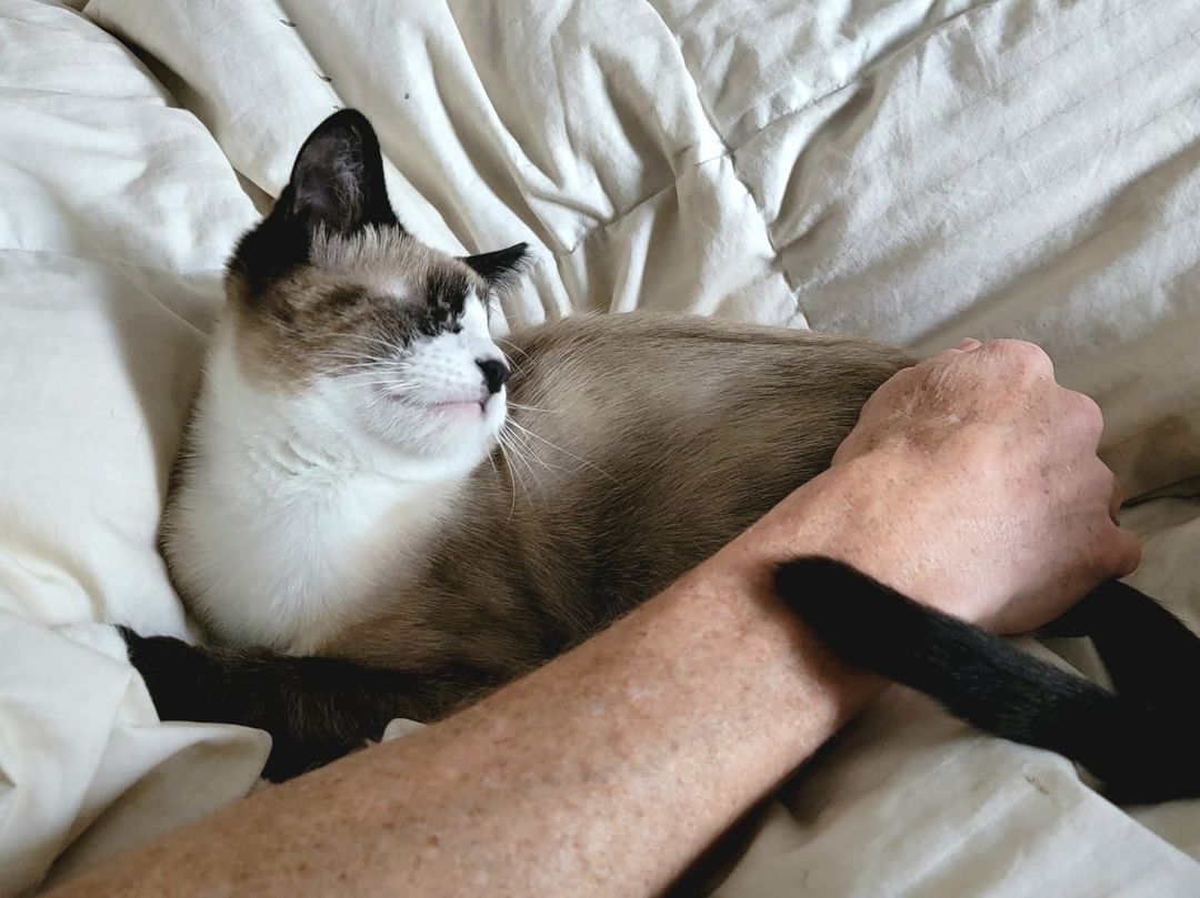 Rise and shine with Santi the blind kitten! 🌞 

There is so much to be THANKFUL for this Thanksgiving holiday. Please share with us what you are feeling grateful for today.