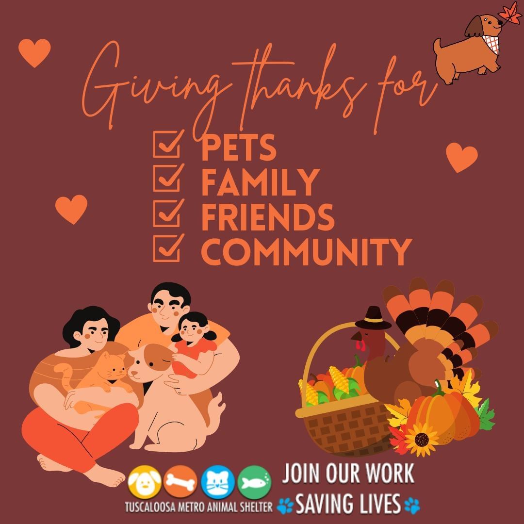 Happy Thanksgiving from our TMAS family to yours! 🦃 

We are so very thankful for all of our staff, volunteers, fosters, and such a loving, giving community that help us spread the love to all of the babies here at the shelter! We could not do the work that we do without the help, heart and homes of you all ! 💛🧡 

Stay safe and full and we'll see you all tomorrow for our normal hours. 🐾