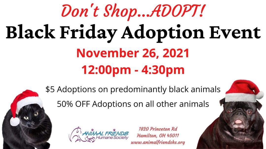 Happy Thanksgiving!!! We hope that your day is filled with many reasons to be thankful! At Animal Friends we are continuously thankful for our wonderful staff and volunteers and their commitment to love and care for our animals until they find their forever homes! We are also so grateful for the adopters who take these homeless animals and turn them into valued family members! This has been a busy year with little kennel space to spare and some animals living in the shelter month after month waiting for a home. Join us for our Black Friday Adoption Event, November 26th, from 12:00pm - 4:30pm and see if we have the perfect fit for your family! You might just be adopting your favorite reason to be thankful for next year!