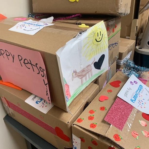 THANK YOU to the amazing kiddos at the @vadiscovery for creating and donating these incredible <a target='_blank' href='https://www.instagram.com/explore/tags/enrichmentfordogs/'>#enrichmentfordogs</a>! 
Check out our wishlist: https://caspca.org/give/wish-list/