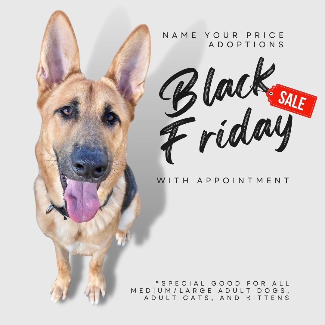 It's <a target='_blank' href='https://www.instagram.com/explore/tags/BlackFriday/'>#BlackFriday</a>, and we've got <a target='_blank' href='https://www.instagram.com/explore/tags/NameYourPrice/'>#NameYourPrice</a> adoptions for all medium/large adult dogs, adult cats, and kittens, with an appointment! Email adoption@wilco.org to schedule yours today!

<a target='_blank' href='https://www.instagram.com/explore/tags/centraltexas/'>#centraltexas</a> <a target='_blank' href='https://www.instagram.com/explore/tags/williamsoncountytx/'>#williamsoncountytx</a> <a target='_blank' href='https://www.instagram.com/explore/tags/georgetowntx/'>#georgetowntx</a> <a target='_blank' href='https://www.instagram.com/explore/tags/cedarparktx/'>#cedarparktx</a> <a target='_blank' href='https://www.instagram.com/explore/tags/huttotx/'>#huttotx</a> <a target='_blank' href='https://www.instagram.com/explore/tags/leandertx/'>#leandertx</a> <a target='_blank' href='https://www.instagram.com/explore/tags/roundrocktx/'>#roundrocktx</a> <a target='_blank' href='https://www.instagram.com/explore/tags/austintx/'>#austintx</a>