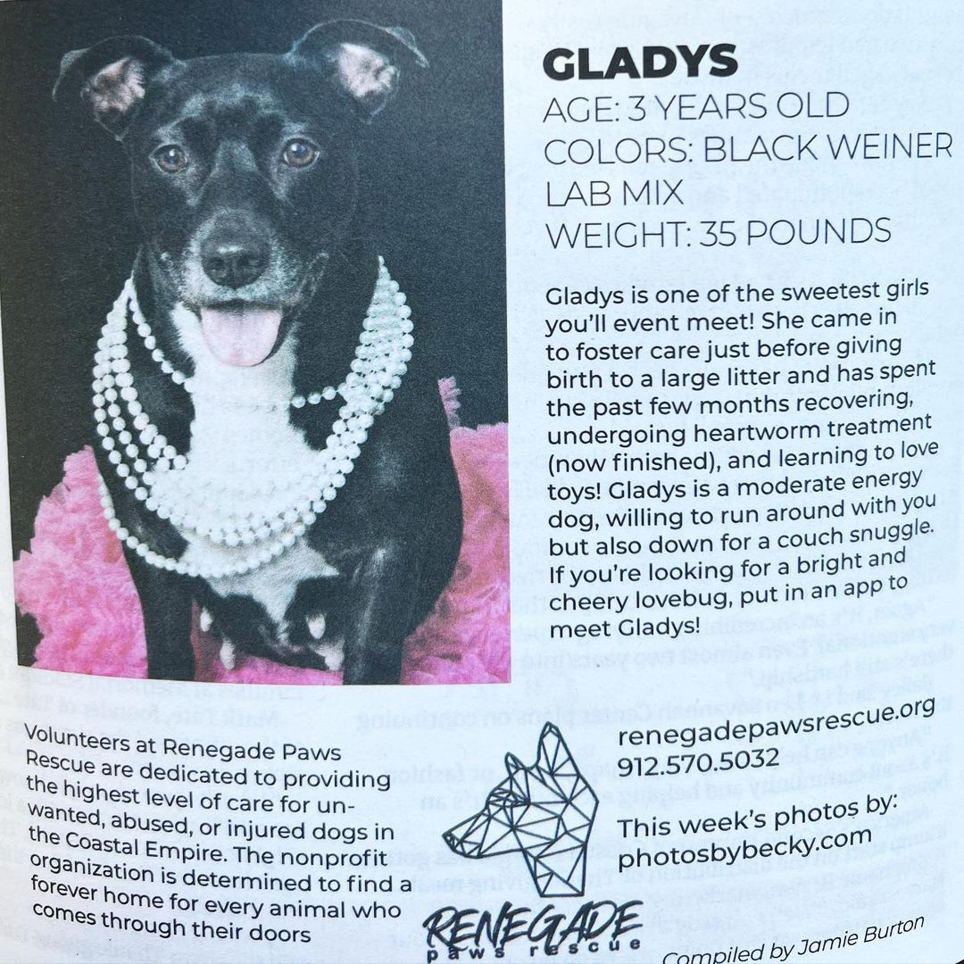 Check out our beautiful girls featured as adoptable pets of the week in @connectsavannah! These loving ladies will make playful and cuddly additions to your home 🖤 learn more about Gladys and Cruella at renegadepawsrescue.org!

📷: @becky613 Photos By Becky

<a target='_blank' href='https://www.instagram.com/explore/tags/renegadepawsrescue/'>#renegadepawsrescue</a> <a target='_blank' href='https://www.instagram.com/explore/tags/adoptblackdogs/'>#adoptblackdogs</a> <a target='_blank' href='https://www.instagram.com/explore/tags/adoptdontshop/'>#adoptdontshop</a> <a target='_blank' href='https://www.instagram.com/explore/tags/blackdog/'>#blackdog</a> <a target='_blank' href='https://www.instagram.com/explore/tags/georgiablackdog/'>#georgiablackdog</a> <a target='_blank' href='https://www.instagram.com/explore/tags/dogsofsavannah/'>#dogsofsavannah</a> <a target='_blank' href='https://www.instagram.com/explore/tags/connectsavannah/'>#connectsavannah</a> <a target='_blank' href='https://www.instagram.com/explore/tags/dogsinthenews/'>#dogsinthenews</a> <a target='_blank' href='https://www.instagram.com/explore/tags/petsoftheweek/'>#petsoftheweek</a> <a target='_blank' href='https://www.instagram.com/explore/tags/spayandneuter/'>#spayandneuter</a> <a target='_blank' href='https://www.instagram.com/explore/tags/fosteringsaveslives/'>#fosteringsaveslives</a> <a target='_blank' href='https://www.instagram.com/explore/tags/adoptabledogsofinstagram/'>#adoptabledogsofinstagram</a> <a target='_blank' href='https://www.instagram.com/explore/tags/savannahgeorgia/'>#savannahgeorgia</a> <a target='_blank' href='https://www.instagram.com/explore/tags/savannahga/'>#savannahga</a> <a target='_blank' href='https://www.instagram.com/explore/tags/berenegade/'>#berenegade</a> <a target='_blank' href='https://www.instagram.com/explore/tags/homefortheholidays/'>#homefortheholidays</a>