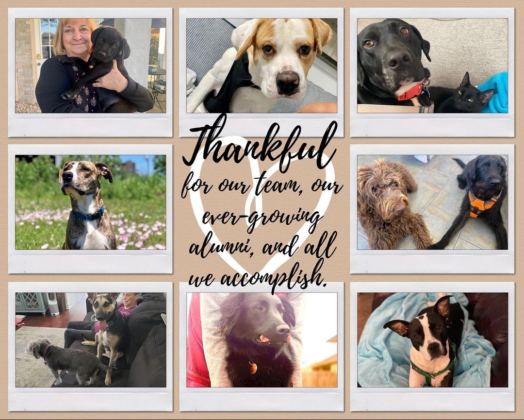 We had a slow day on social media today as our team enjoyed the day with their families, friends, and pup.
We hope everyone had a safe and happy holiday. 

This thanksgiving we are thankful for all we have accomplish this year and the team we have to do so. So far we are at over 1,200 lives saved, and counting. We could not do it without you all who help us keep pushing. 

Here is to the last coming month of 2021.