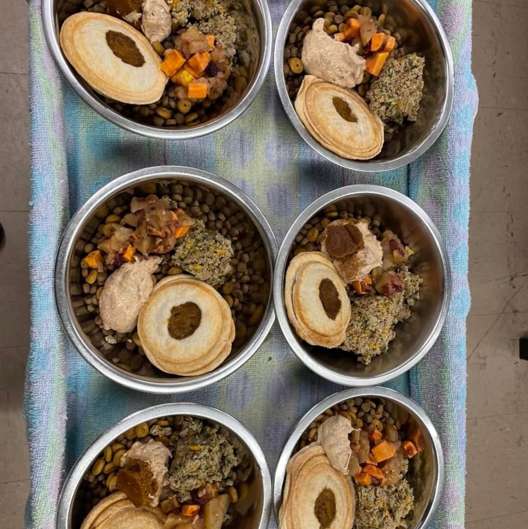 Thanks to Bag of Bones Barkery, our resident dogs enjoyed a feast for Thanksgiving! 
We couldn’t be happier for the love and support of our homeless dogs in the shelter. 

<a target='_blank' href='https://www.instagram.com/explore/tags/hamiltonanimalshelter/'>#hamiltonanimalshelter</a> <a target='_blank' href='https://www.instagram.com/explore/tags/thankful/'>#thankful</a> <a target='_blank' href='https://www.instagram.com/explore/tags/thanksgivingfeast/'>#thanksgivingfeast</a> <a target='_blank' href='https://www.instagram.com/explore/tags/adoptashelterdog/'>#adoptashelterdog</a> <a target='_blank' href='https://www.instagram.com/explore/tags/ittakesavillage/'>#ittakesavillage</a>