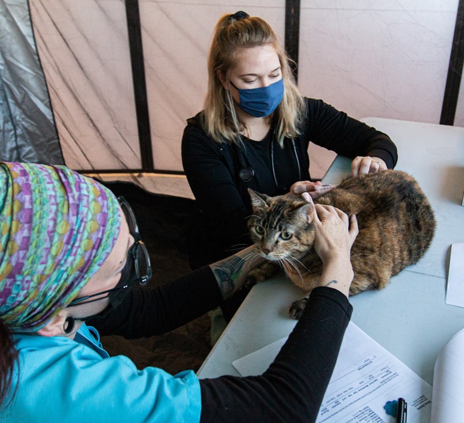 CHANGING LIVES: The ARL not only helps pets once they arrive at the ARL, we do a lot of work to help keep pets out of the shelter and in the homes with the people who love them. We recently offered two vaccine and wellness clinics that provided care for a total of 62 dogs and 50 cats in the Des Moines metro!

The clinic for cats, held at the Southridge Petco, and the clinic for dogs, held at the Dean Avenue Fire Station, both offered vaccinations and microchips, as well as physical exams, fecal tests and more. Check out some pictures from the clinics, including some heartwarming photos of the pets and their families!

Thank you to the Petco Love Foundation for the grant that provided vaccines for these clinics. And thanks to our veterinary partners and the Shelter Medicine Club at Iowa State University for joining with us to provide these services.

<a target='_blank' href='https://www.instagram.com/explore/tags/petcolove/'>#petcolove</a> <a target='_blank' href='https://www.instagram.com/explore/tags/thankstomaddie/'>#thankstomaddie</a>