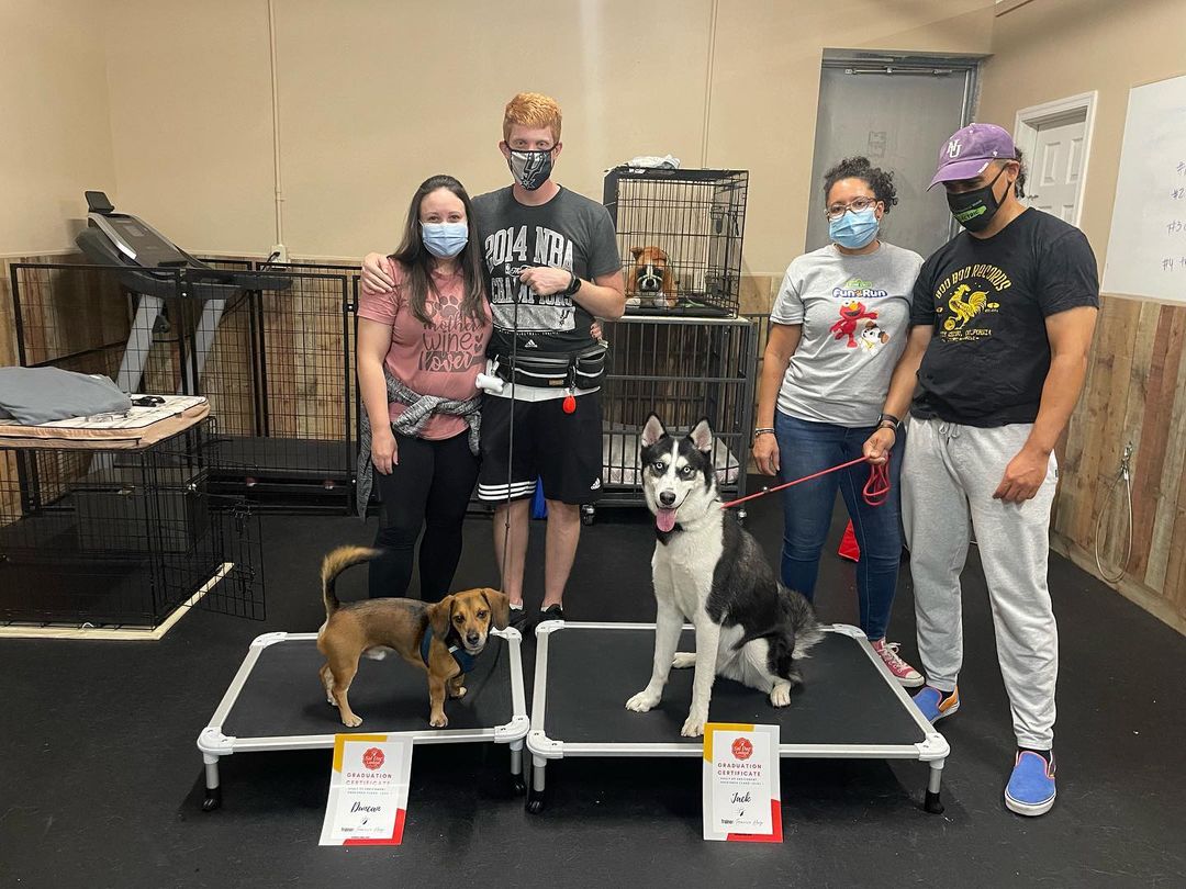 Congratulations to our adult enrichment obedience level 1 class for passing with flying colors!! Our playful, easily distracted huskey (Jack) and formerly insecure reactive doxie-mix (Duncan) graduated tonight.  We even got to finish the session with playtime which is huge. <a target='_blank' href='https://www.instagram.com/explore/tags/tucsondogtraining/'>#tucsondogtraining</a> <a target='_blank' href='https://www.instagram.com/explore/tags/soldoglodge/'>#soldoglodge</a> <a target='_blank' href='https://www.instagram.com/explore/tags/thegypsyeffectdogtraining/'>#thegypsyeffectdogtraining</a>