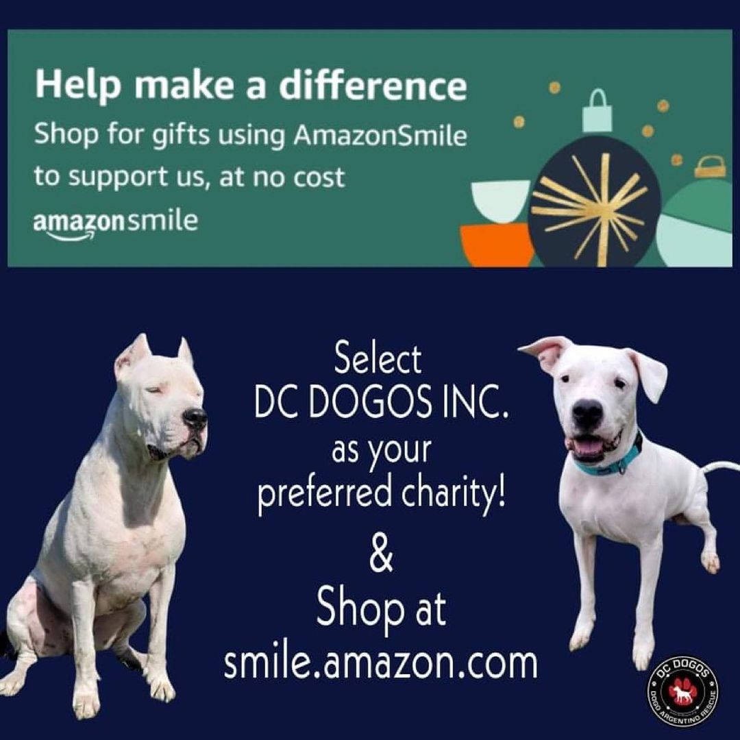 🛍 🛒 🖤 Please support us when you shop on Black Friday and Cyber Monday. Select DC Dogos as your charity of choice when you shop on @amazonsmile and they will donate a % of the proceeds to our rescue. You can help us reach our goal of raising $1k this year! Thank you in advance. <a target='_blank' href='https://www.instagram.com/explore/tags/dcdogos/'>#dcdogos</a> <a target='_blank' href='https://www.instagram.com/explore/tags/dedicatedtosavingdogos/'>#dedicatedtosavingdogos</a> <a target='_blank' href='https://www.instagram.com/explore/tags/helpushelpthem/'>#helpushelpthem</a> <a target='_blank' href='https://www.instagram.com/explore/tags/blackfriday/'>#blackfriday</a> <a target='_blank' href='https://www.instagram.com/explore/tags/cybermonday/'>#cybermonday</a> <a target='_blank' href='https://www.instagram.com/explore/tags/dogoargentinorescue/'>#dogoargentinorescue</a>