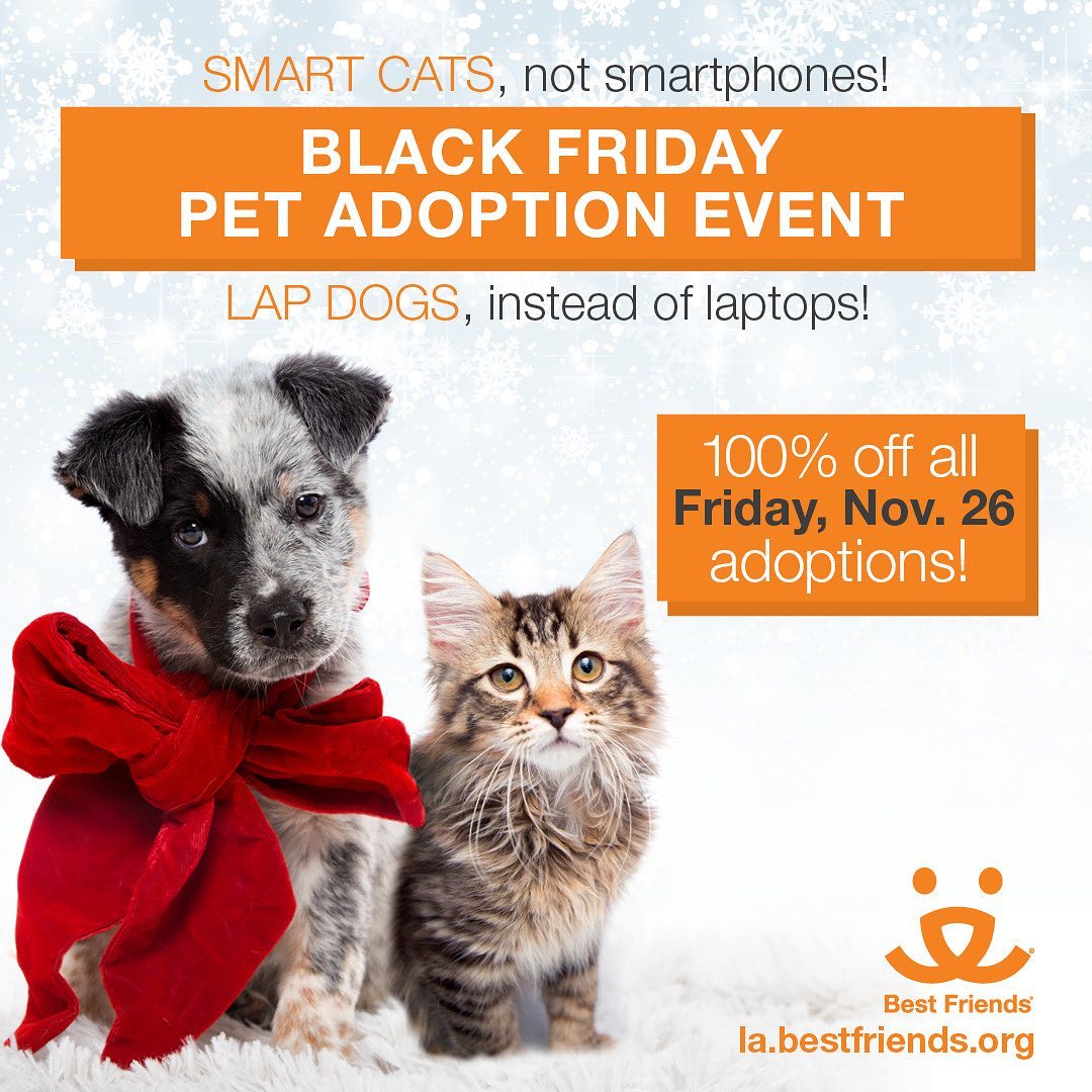 Lap Dogs, instead of laptops! Smart Cats instead of smartphones! Join us on Friday November 26th from 10 AM to 4 PM for our special fee-waived adoption event.*

🐕15321 S Brand Blvd Mission Hills, CA

🐈‍⬛1845 Pontius Ave West LA*

* Select Pets from participating partners at our West LA (NKLA) Pet Adoption Center

<a target='_blank' href='https://www.instagram.com/explore/tags/BestFriendsLA/'>#BestFriendsLA</a> <a target='_blank' href='https://www.instagram.com/explore/tags/BFLA/'>#BFLA</a> <a target='_blank' href='https://www.instagram.com/explore/tags/NKLA/'>#NKLA</a> <a target='_blank' href='https://www.instagram.com/explore/tags/LosAngeles/'>#LosAngeles</a> <a target='_blank' href='https://www.instagram.com/explore/tags/adopt/'>#adopt</a> <a target='_blank' href='https://www.instagram.com/explore/tags/foster/'>#foster</a> <a target='_blank' href='https://www.instagram.com/explore/tags/rescue/'>#rescue</a> <a target='_blank' href='https://www.instagram.com/explore/tags/blackfriday/'>#blackfriday</a> <a target='_blank' href='https://www.instagram.com/explore/tags/feewaived/'>#feewaived</a> <a target='_blank' href='https://www.instagram.com/explore/tags/dogsomfinstagram/'>#dogsomfinstagram</a> <a target='_blank' href='https://www.instagram.com/explore/tags/catsofinstagram/'>#catsofinstagram</a>