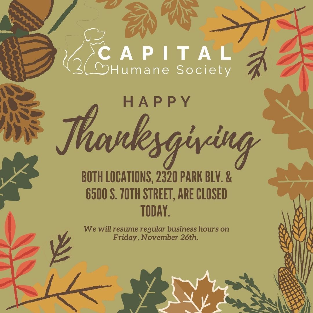 Happy Thanksgiving from everyone at Capital Humane Society! 

Both locations are closed today.  We will resume regular business hours on Friday, November 26th.