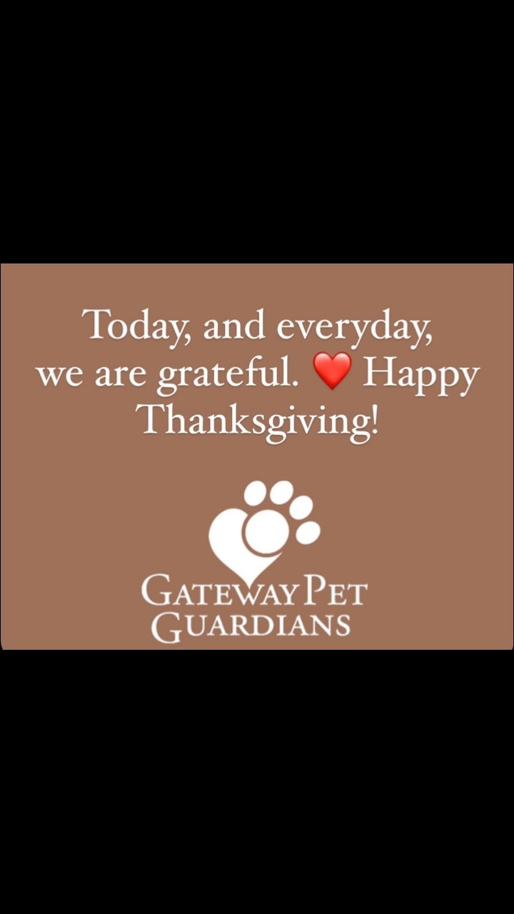 There is so much to be grateful for, today and everyday. We’ll start by thanking our dedicated staff, who work passionately and tirelessly to support our mission. Their efforts are matched by our incredible volunteers who are deeply committed to seeing our programs succeed. And we simply could not handle the volume of animals we do each year without our fosters, who open their homes and hearts to cats and dogs in need and facilitate adoptions like total rockstars. Of course, we couldn’t do ANY of this impactful work without our unsung heroes, our donors. Shelter upkeep, community outreach, and animal care come with a hefty price tag, and our donors continue to show up for us, backing our direction. Thank you to each and every one of you, from the bottom of our hearts. We love what we do. Please enjoy the shelter pups’ special thanksgiving meal (ok, they’re getting a few 😆). We’ve really outdone ourselves with this one. 💀 <a target='_blank' href='https://www.instagram.com/explore/tags/shelterdogs/'>#shelterdogs</a> <a target='_blank' href='https://www.instagram.com/explore/tags/happythanksgivng/'>#happythanksgivng</a> <a target='_blank' href='https://www.instagram.com/explore/tags/givethanks/'>#givethanks</a> <a target='_blank' href='https://www.instagram.com/explore/tags/food/'>#food</a> <a target='_blank' href='https://www.instagram.com/explore/tags/dogsofinstagram/'>#dogsofinstagram</a> <a target='_blank' href='https://www.instagram.com/explore/tags/adopt/'>#adopt</a> <a target='_blank' href='https://www.instagram.com/explore/tags/foster/'>#foster</a> <a target='_blank' href='https://www.instagram.com/explore/tags/donate/'>#donate</a> LINK IN BIO