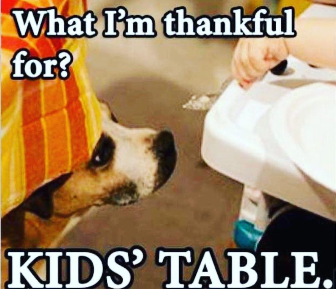 Happy Thanksgiving! 

We are so thankful for our amazing supporters! Without you we could not continue to help animals! Thank you! ￼￼