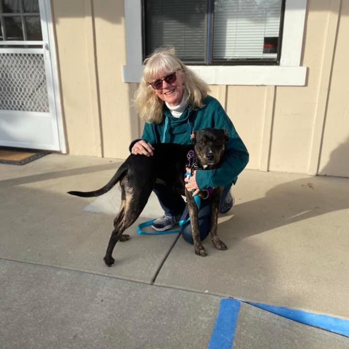 <a target='_blank' href='https://www.instagram.com/explore/tags/foreverhomefriday/'>#foreverhomefriday</a>

These 4 dogs got to go into their forever homes just before Thanksgiving! 🦃 

Happy Tails to Mummy, now Honey, on your new Mom. 💗 
Mossy was excited to have an active family of her very own. 
Freddie was so excited to go home, he couldn’t sit still for a picture. 😂
Bart and his new sibling were the perfect match! 👏🏻 

Congratulations and thanks for adopting!